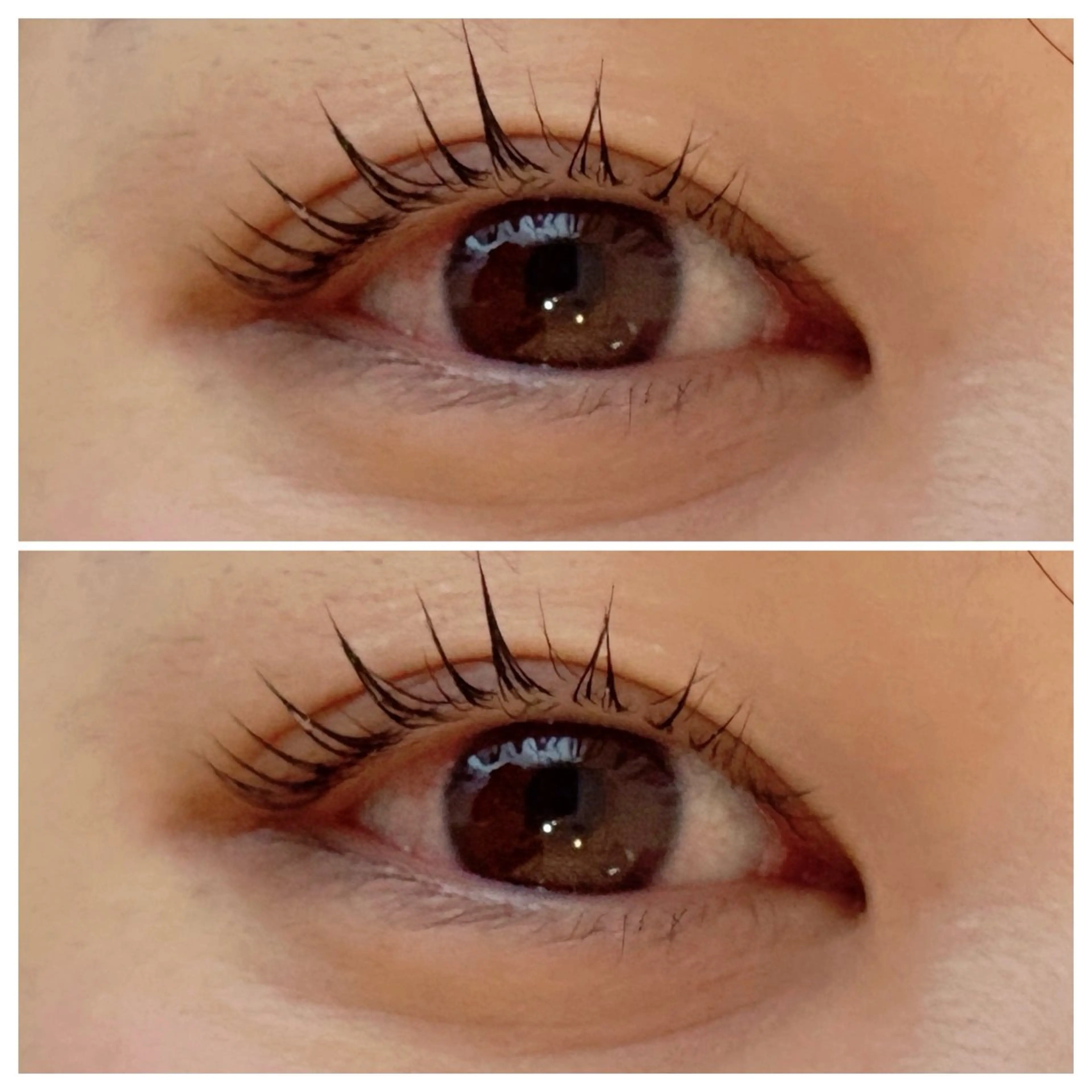 マツエク・マツパ 束感まつ毛 パリジェンヌラッシュリフト 🦋MaaZlash 南流山FUKA🤍のマツエク・マツパデザイン