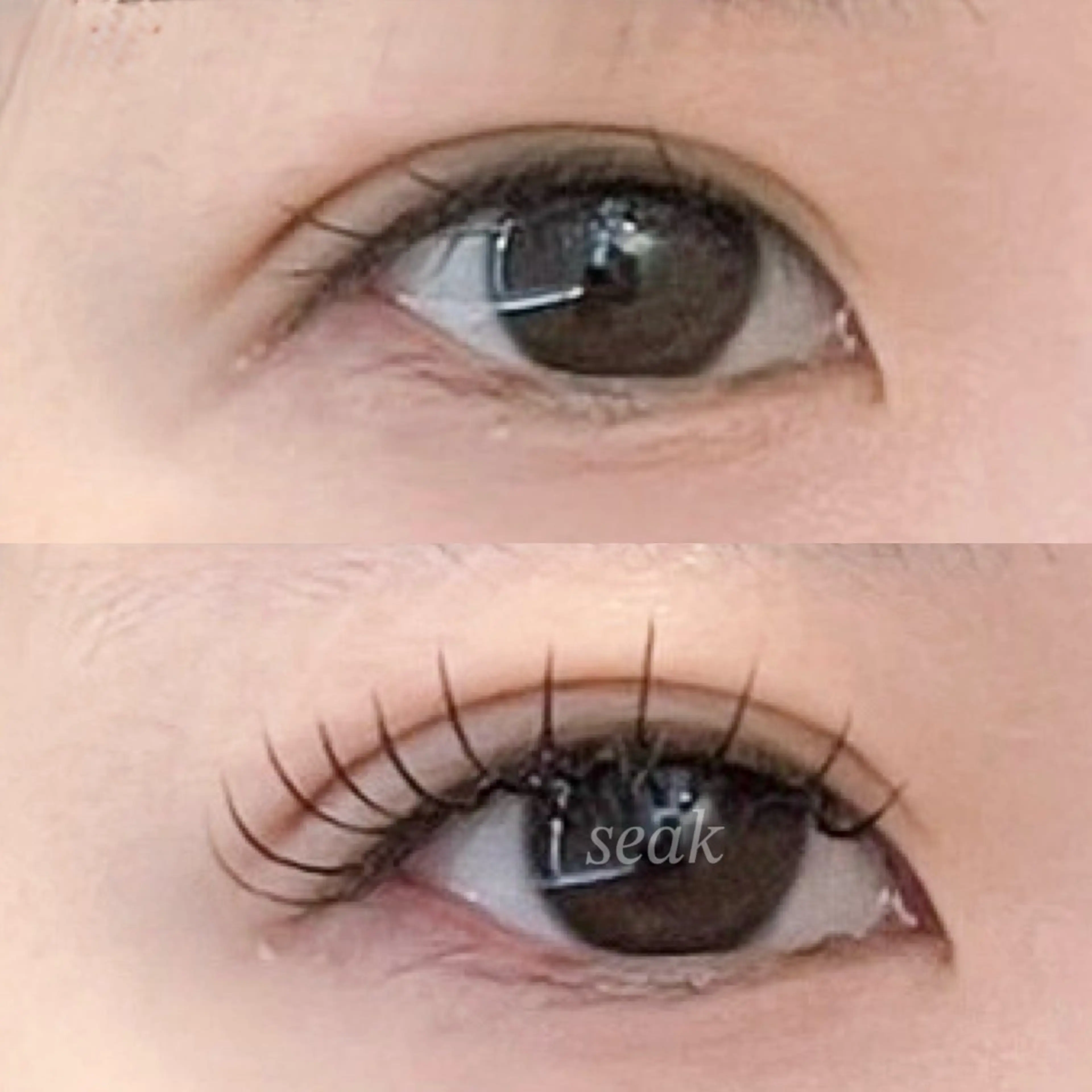 マツエク・マツパ キュート seak所属・成川 こころのマツエク・マツパデザイン