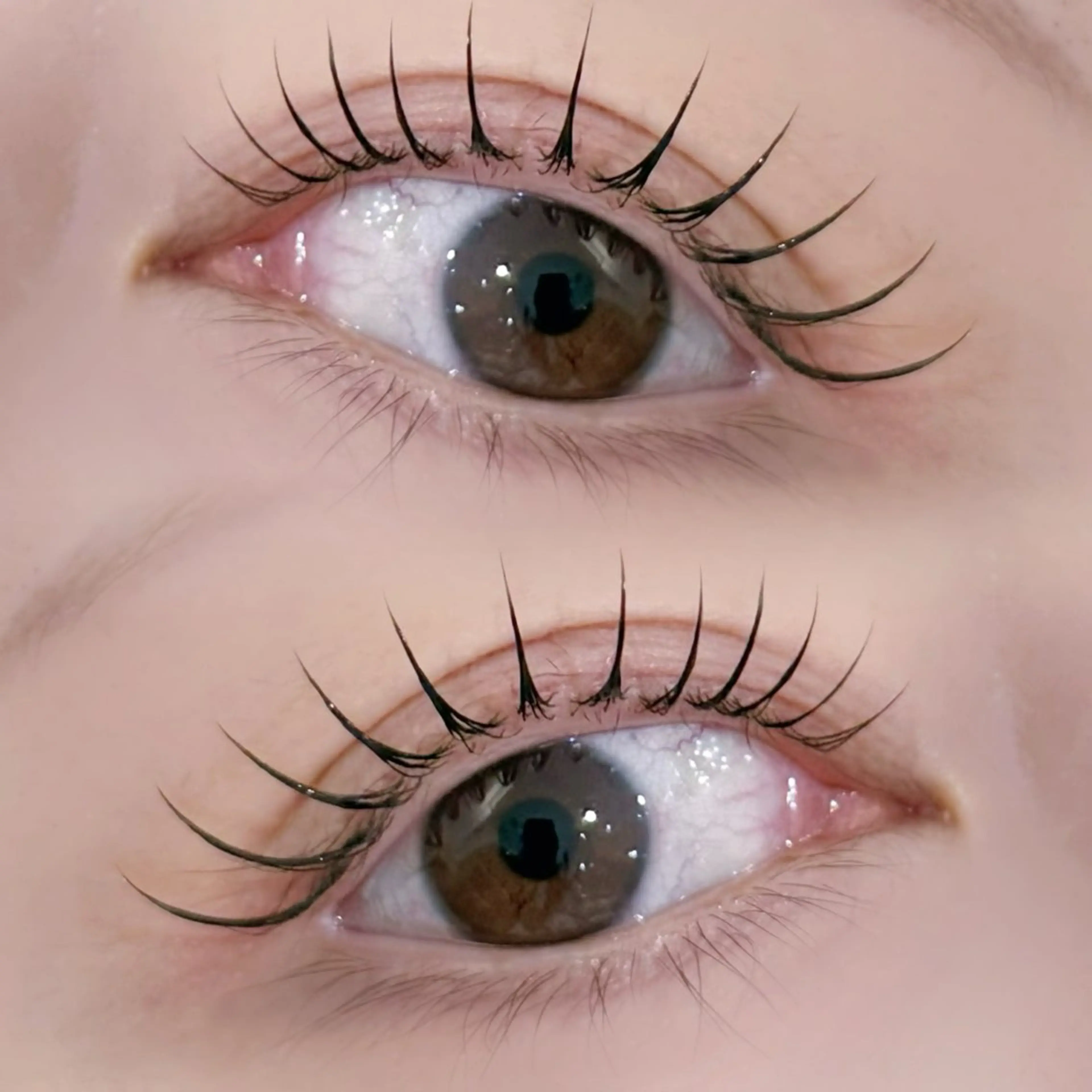 ‼️超お得‼️ラッシュリフトorパリジェンヌ➕高濃度ケラチントリートメント➕アイシャンプー🫧の写真