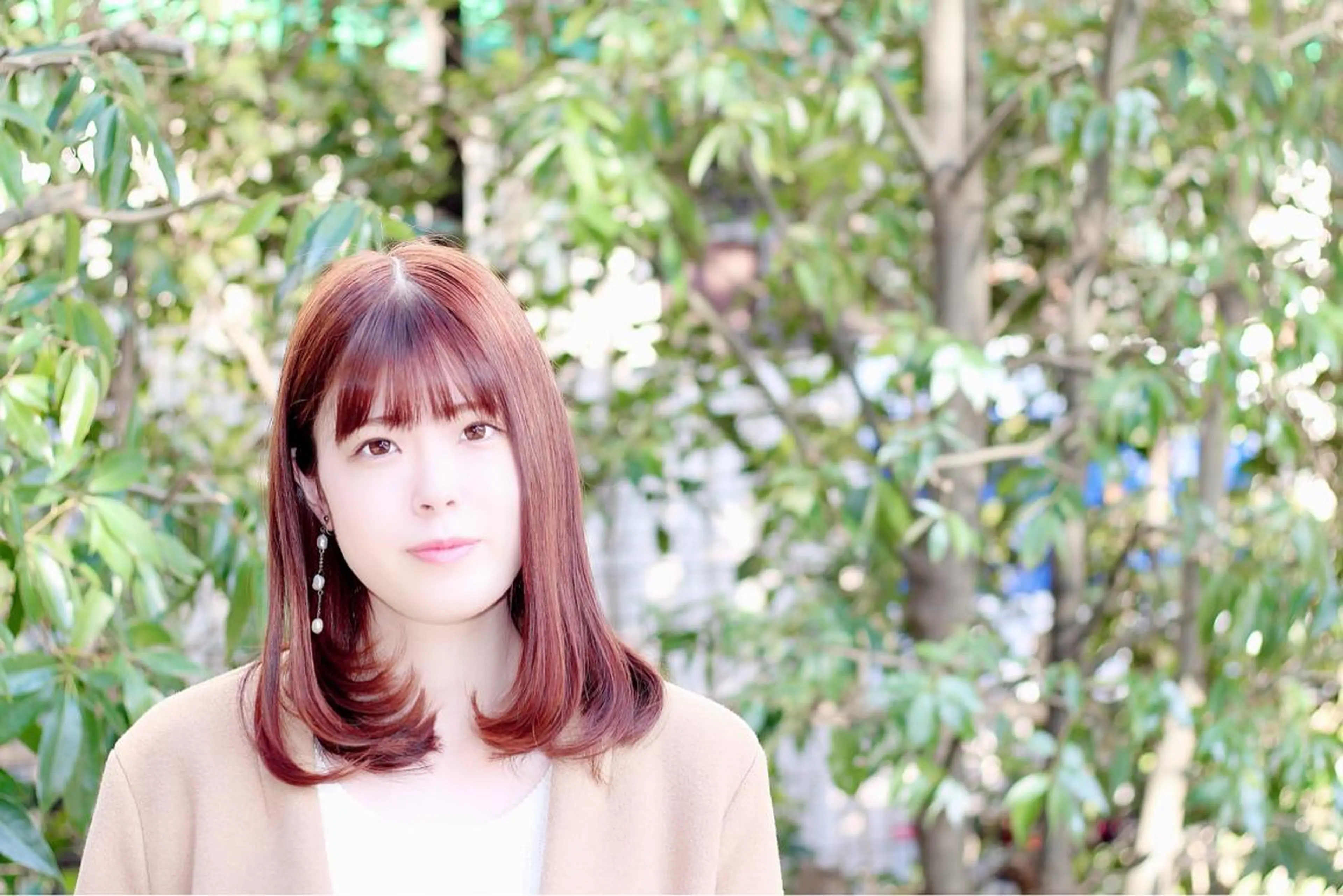 カット＋シャンプーの写真