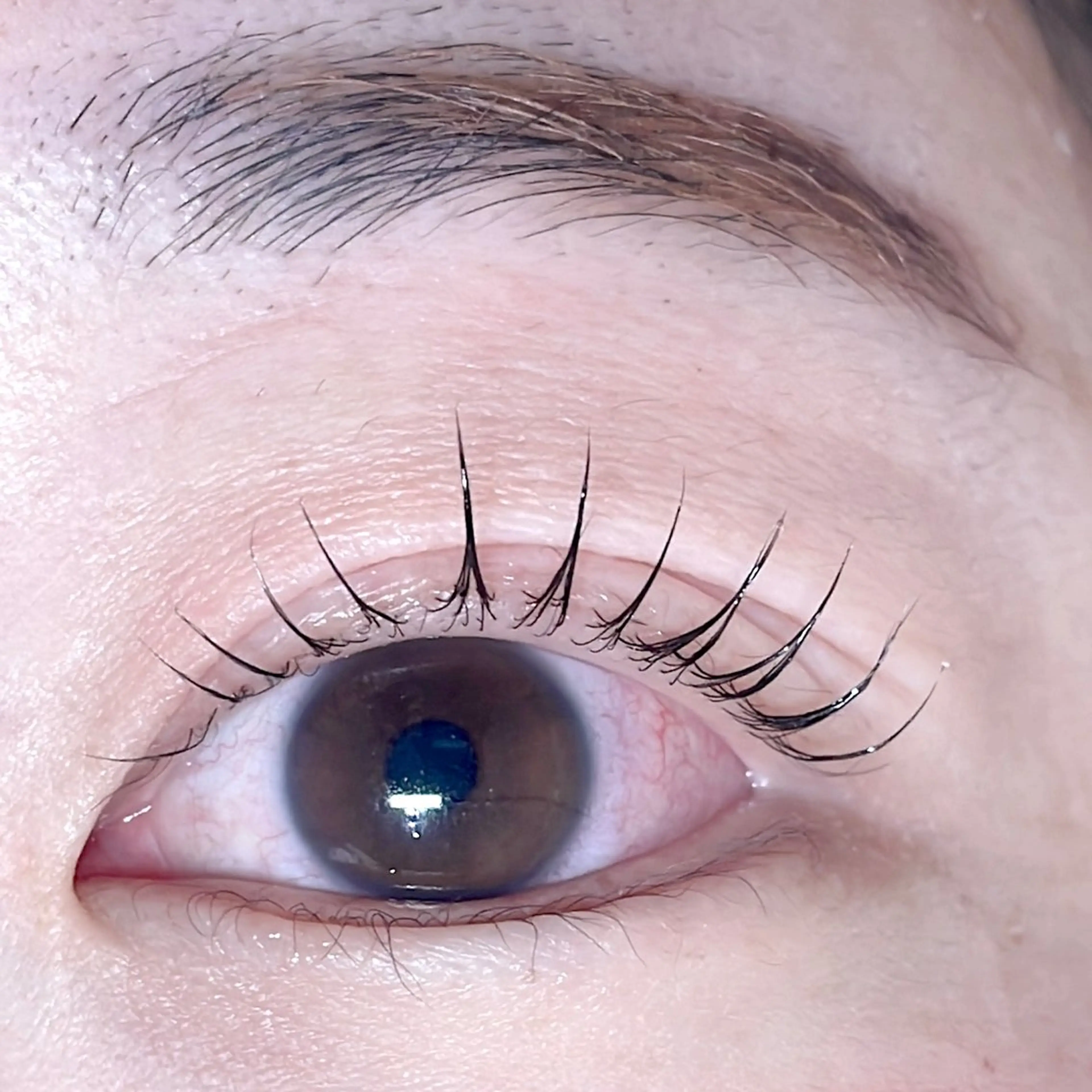 マツエク・マツパ Pearl miyuのマツエク・マツパデザイン