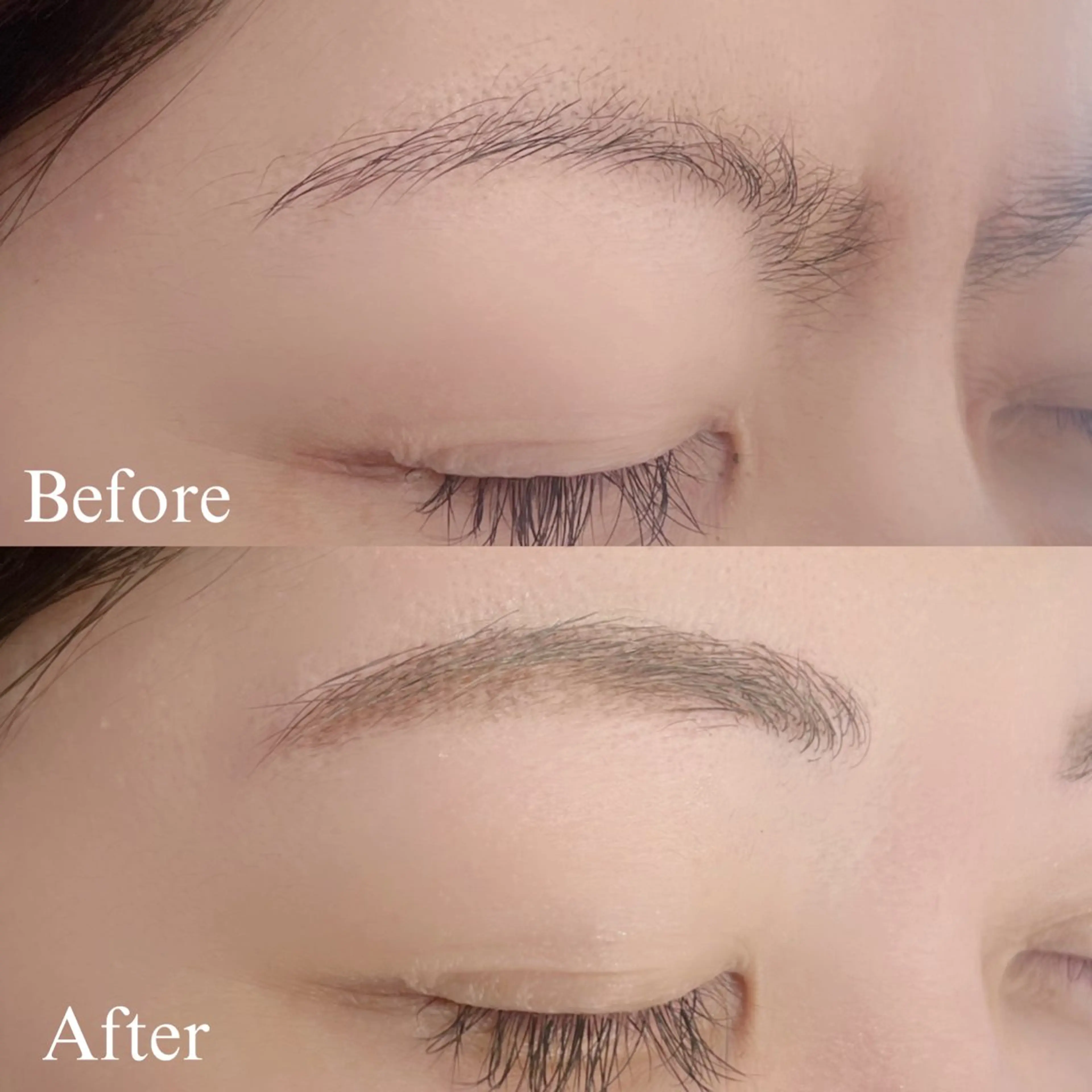 アイブロウ ワックス脱毛 その他(アイブロウ) 似合わせ眉‎🎠🤍 板橋佳蓮の眉毛・アイブロウイメージ