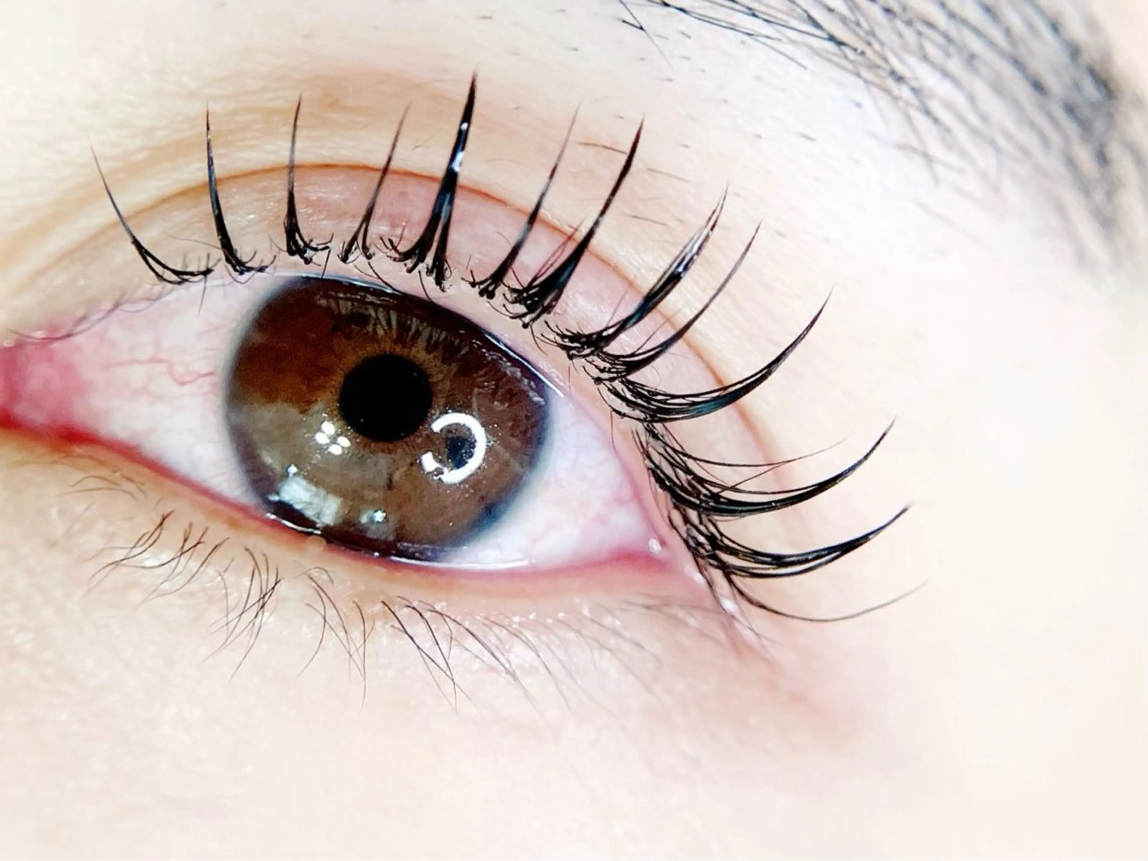 フラットラッシュ120本の写真