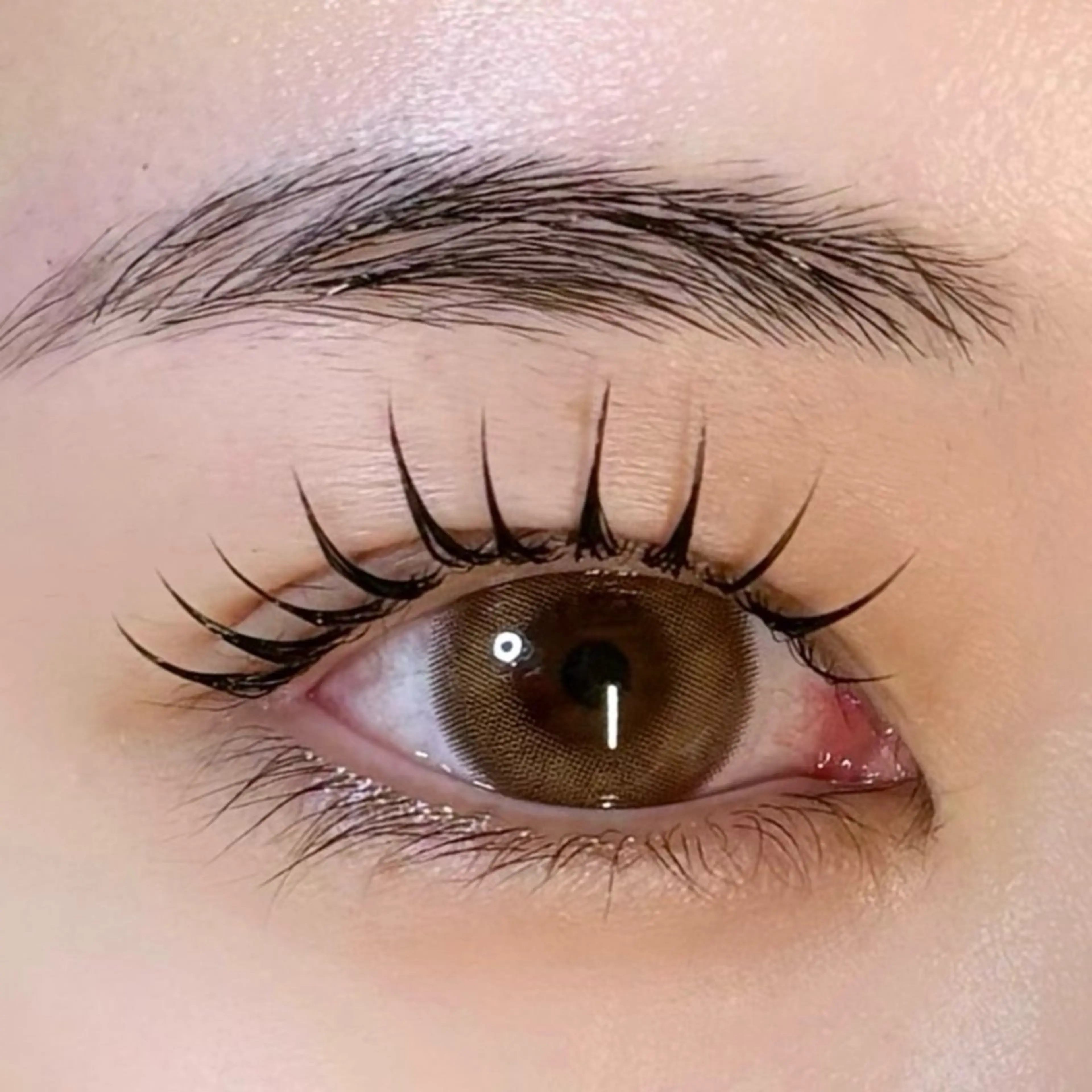 韓国束感🇰🇷✨️マスカラパーマ￥1500の写真