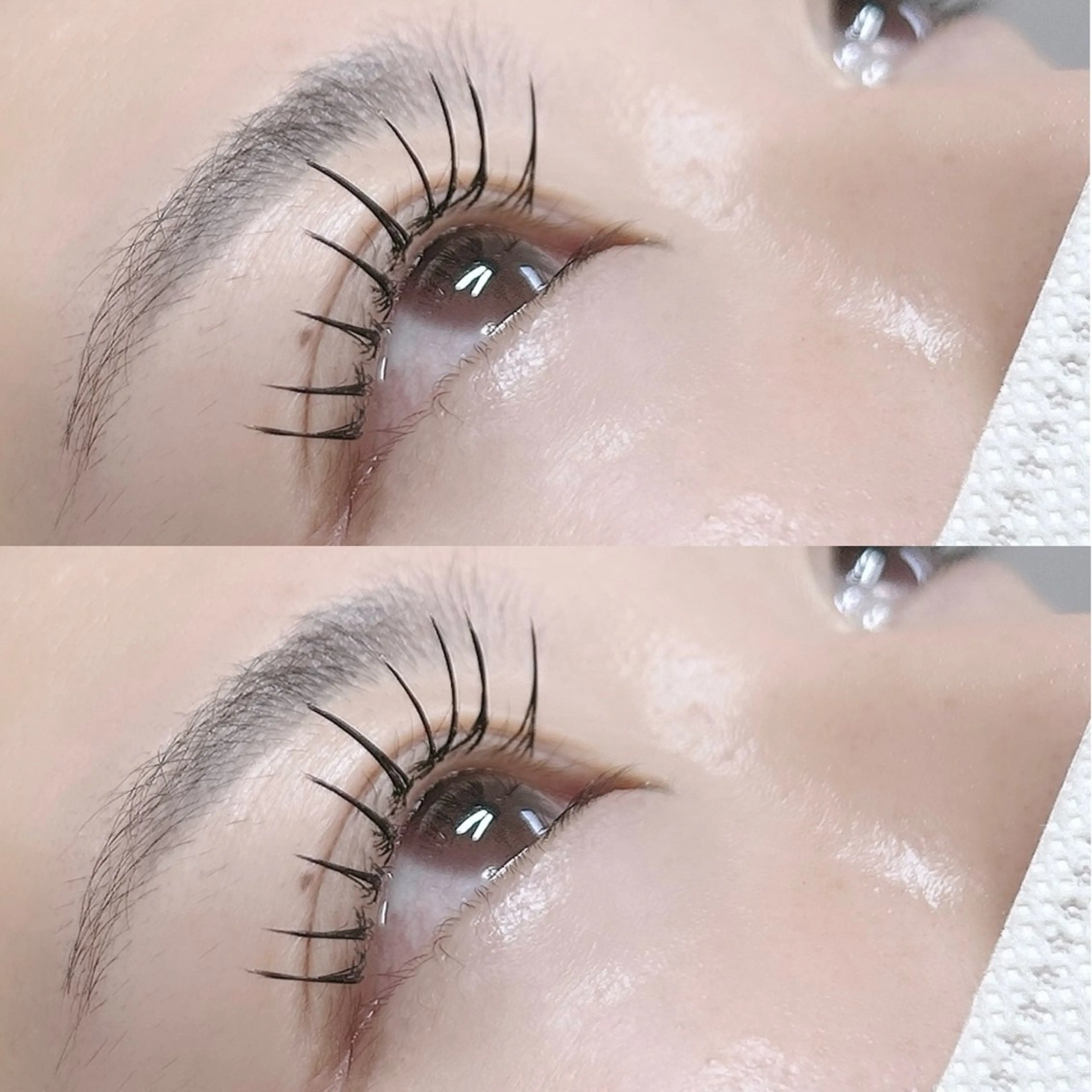 【当店3回目​〜​】フラットラッシュ100本　¥4500の写真