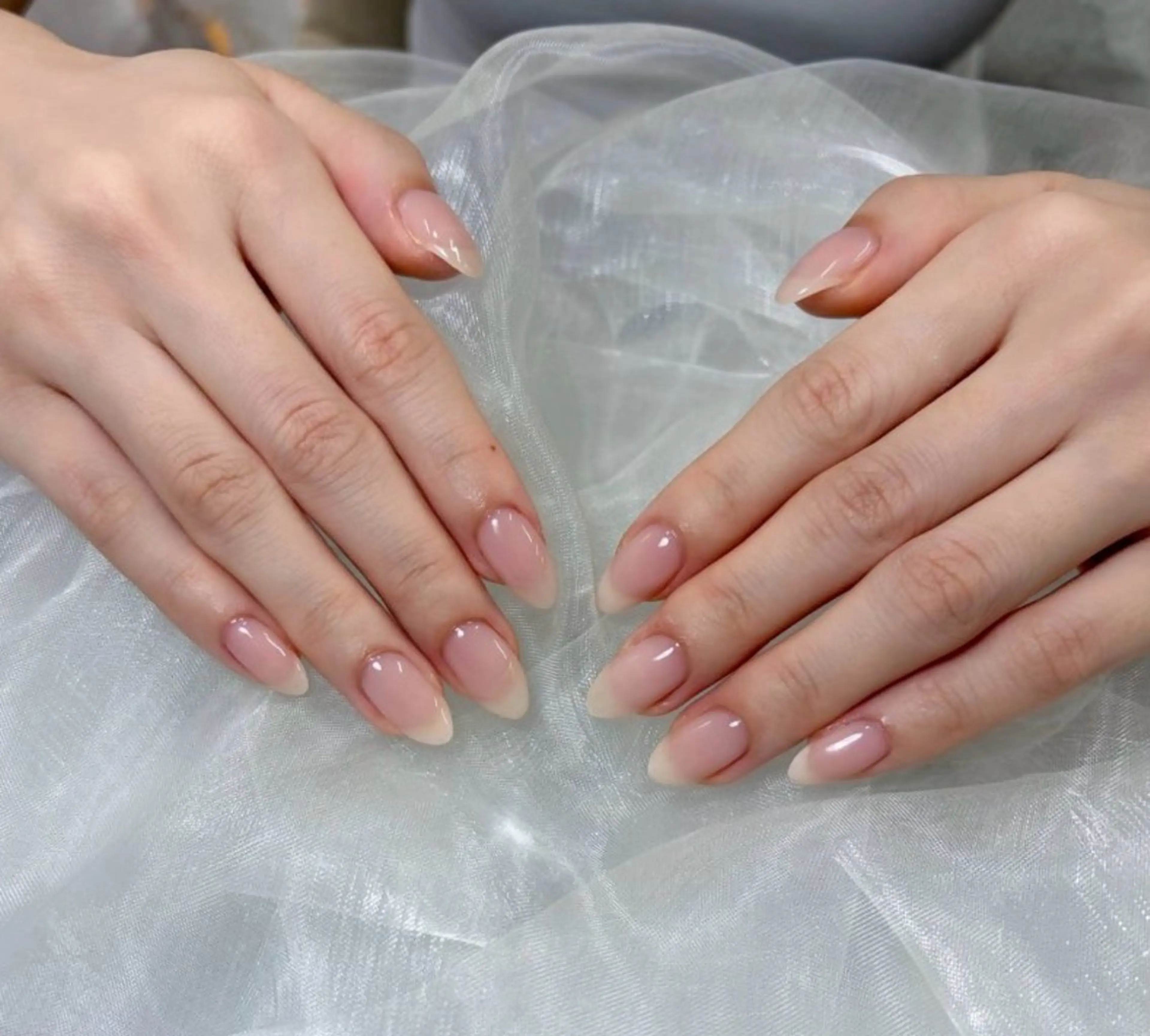 🪽‪ワンカラー 【オフあり】の写真