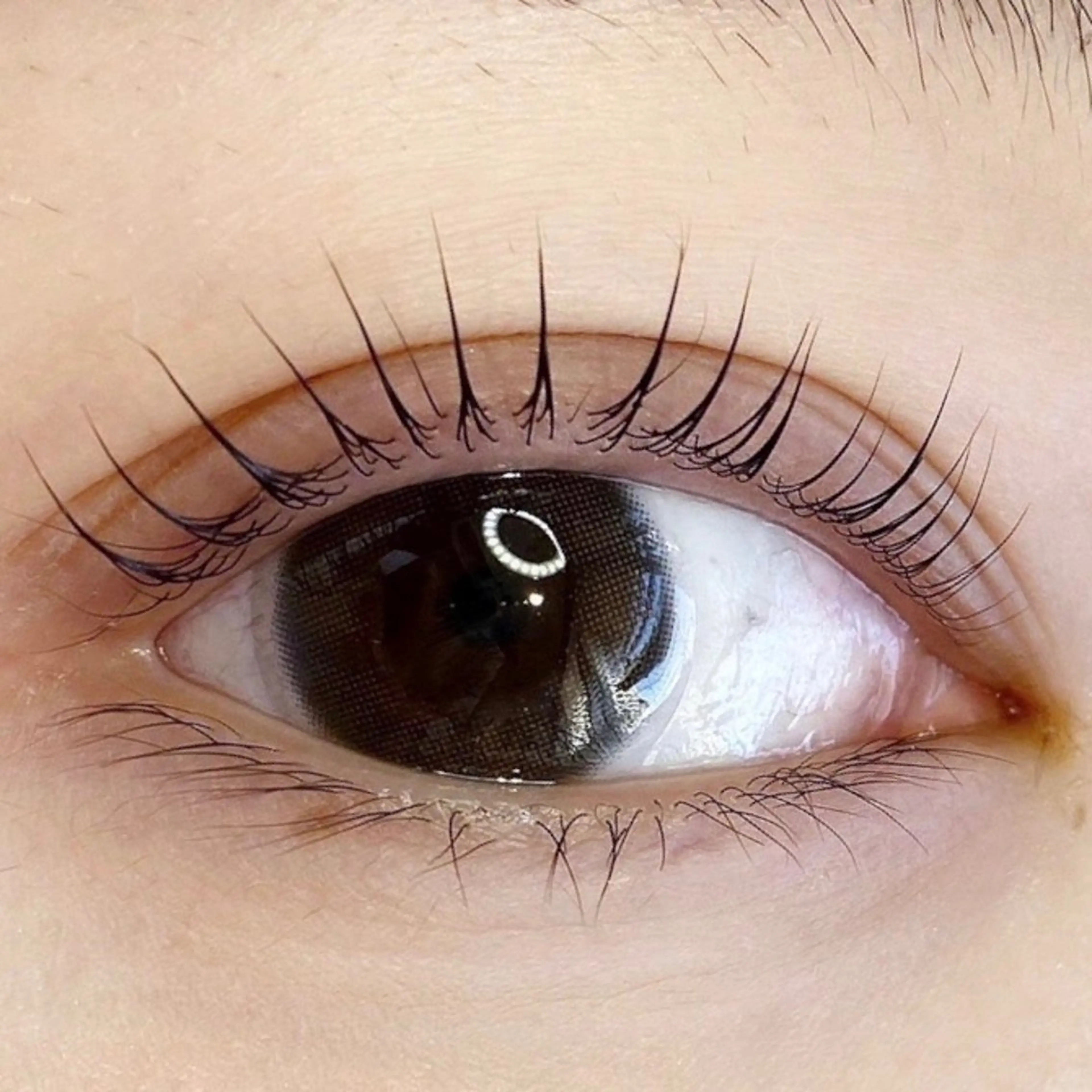 マツエク・マツパ マツパ トップアイリスト羽名 武蔵小杉のマツエク・マツパデザイン