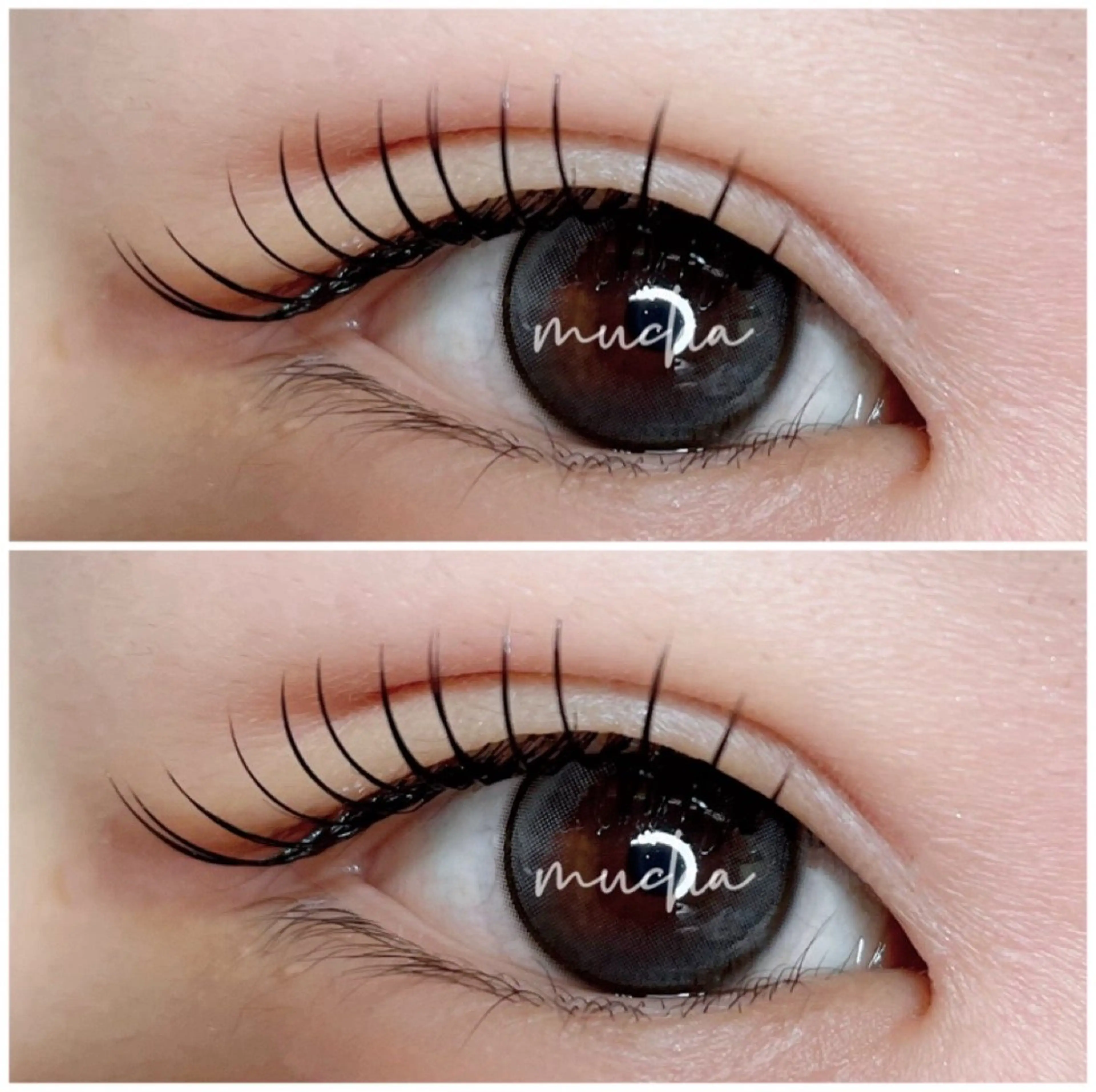 マツエク・マツパ Cカール Dカール フラットラッシュ マツエク eyelash muchaのマツエク・マツパデザイン