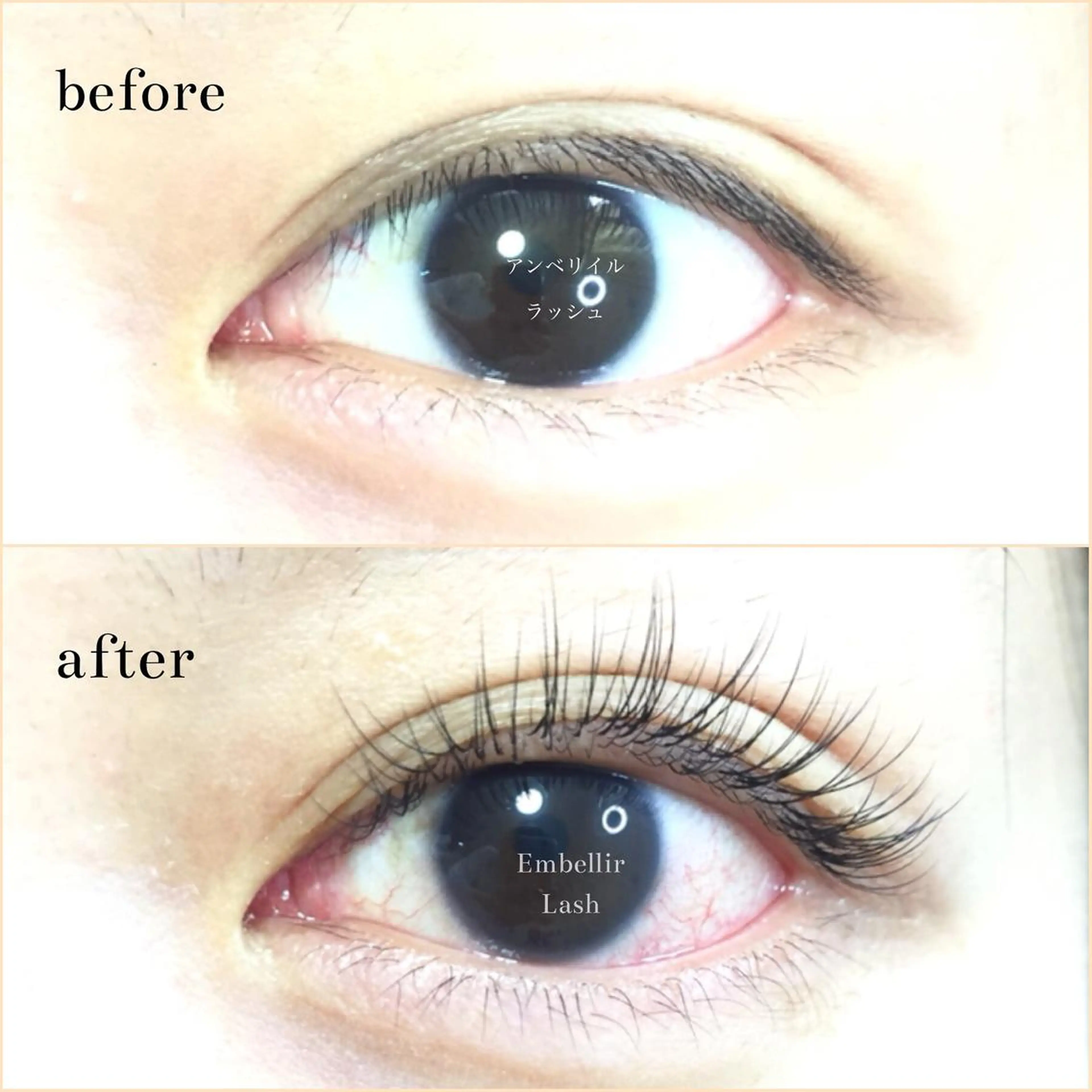 マツエク・マツパ まつエク・パーマ アンベリイルラッシュのマツエク・マツパデザイン