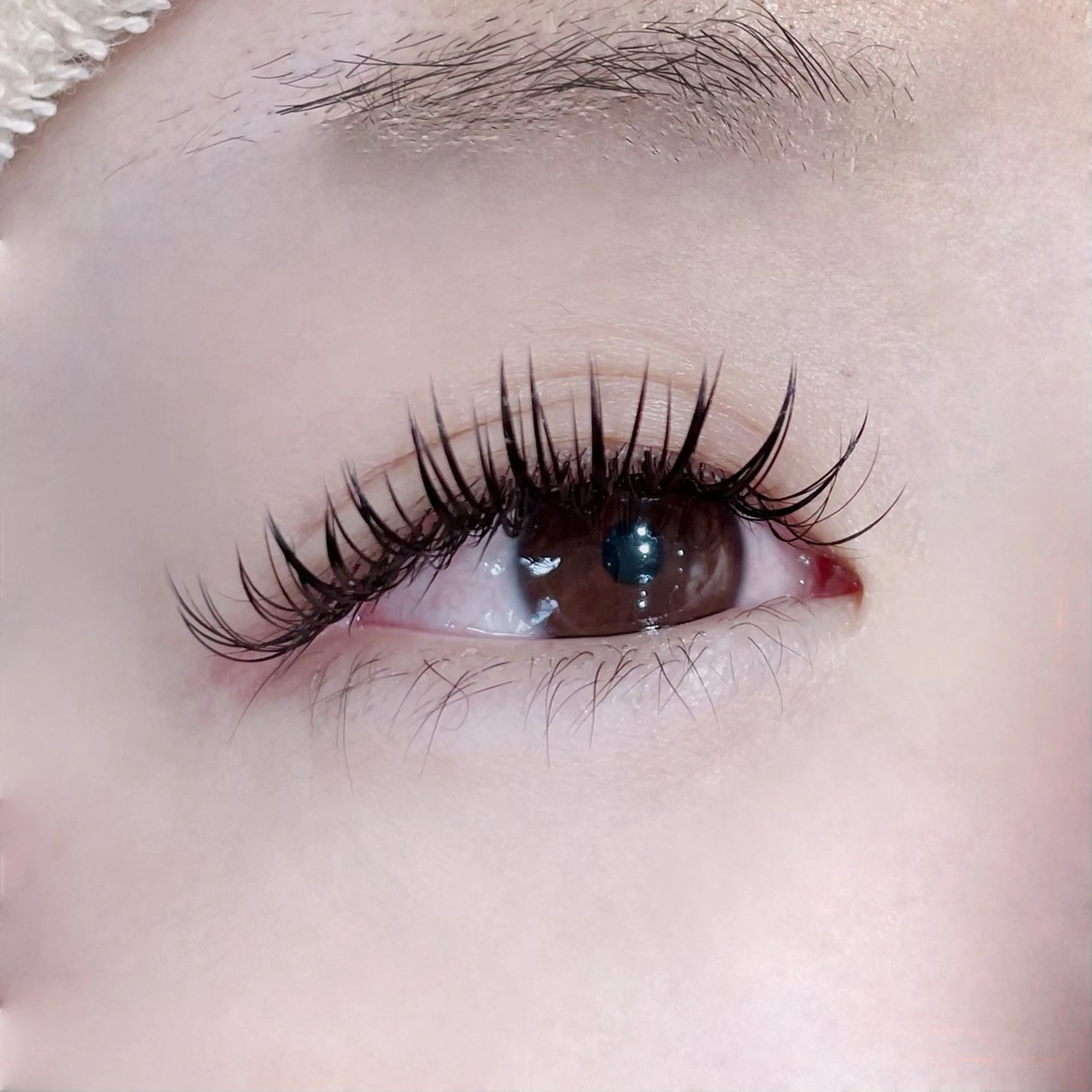 マツエク・マツパ マツエク Koti sakai mayuのマツエク・マツパデザイン