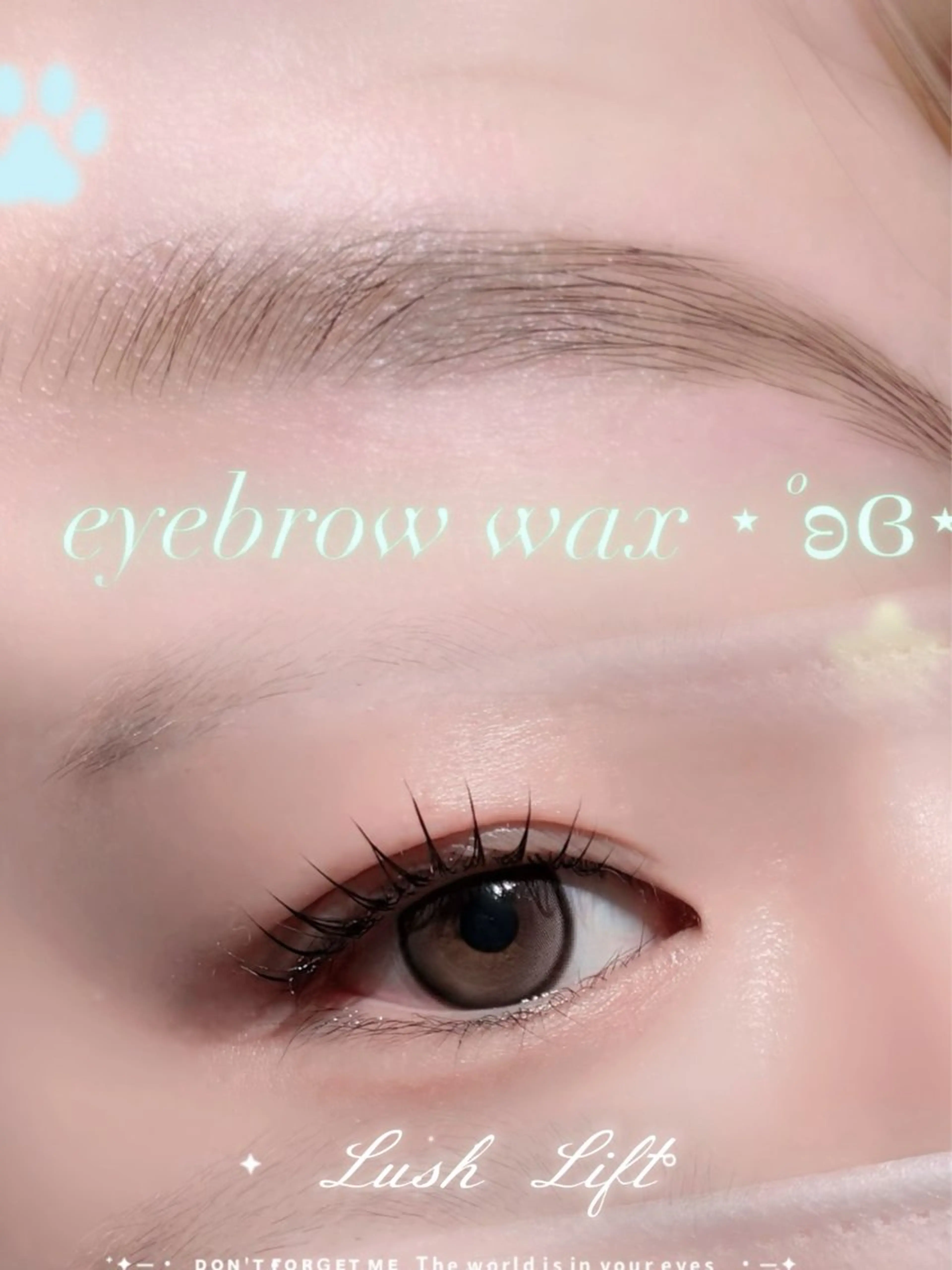 《6月限定大特価✨️》上まつ毛パーマ & 眉waxの写真