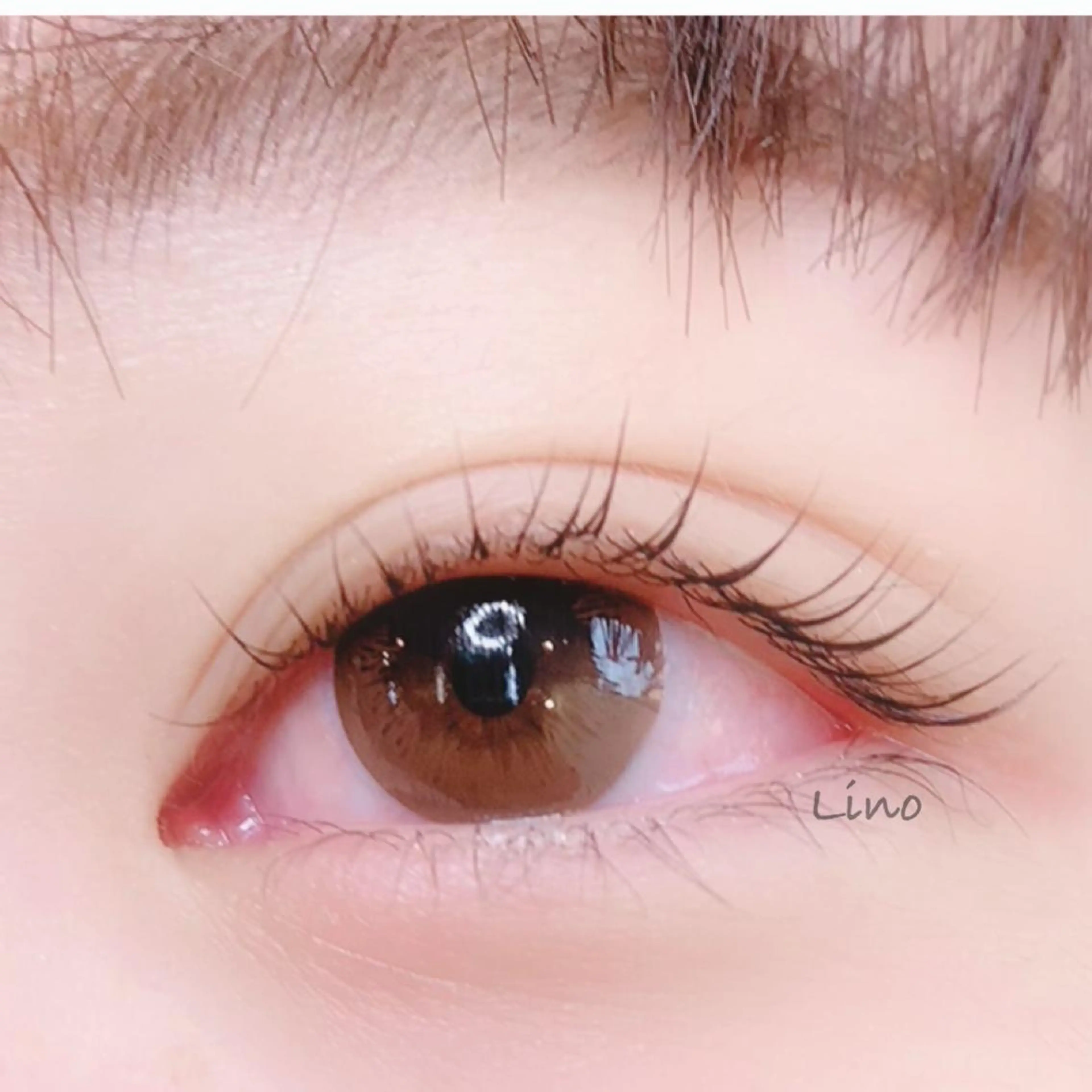 マツエク・マツパ Lino by Luciaのマツエク・マツパデザイン