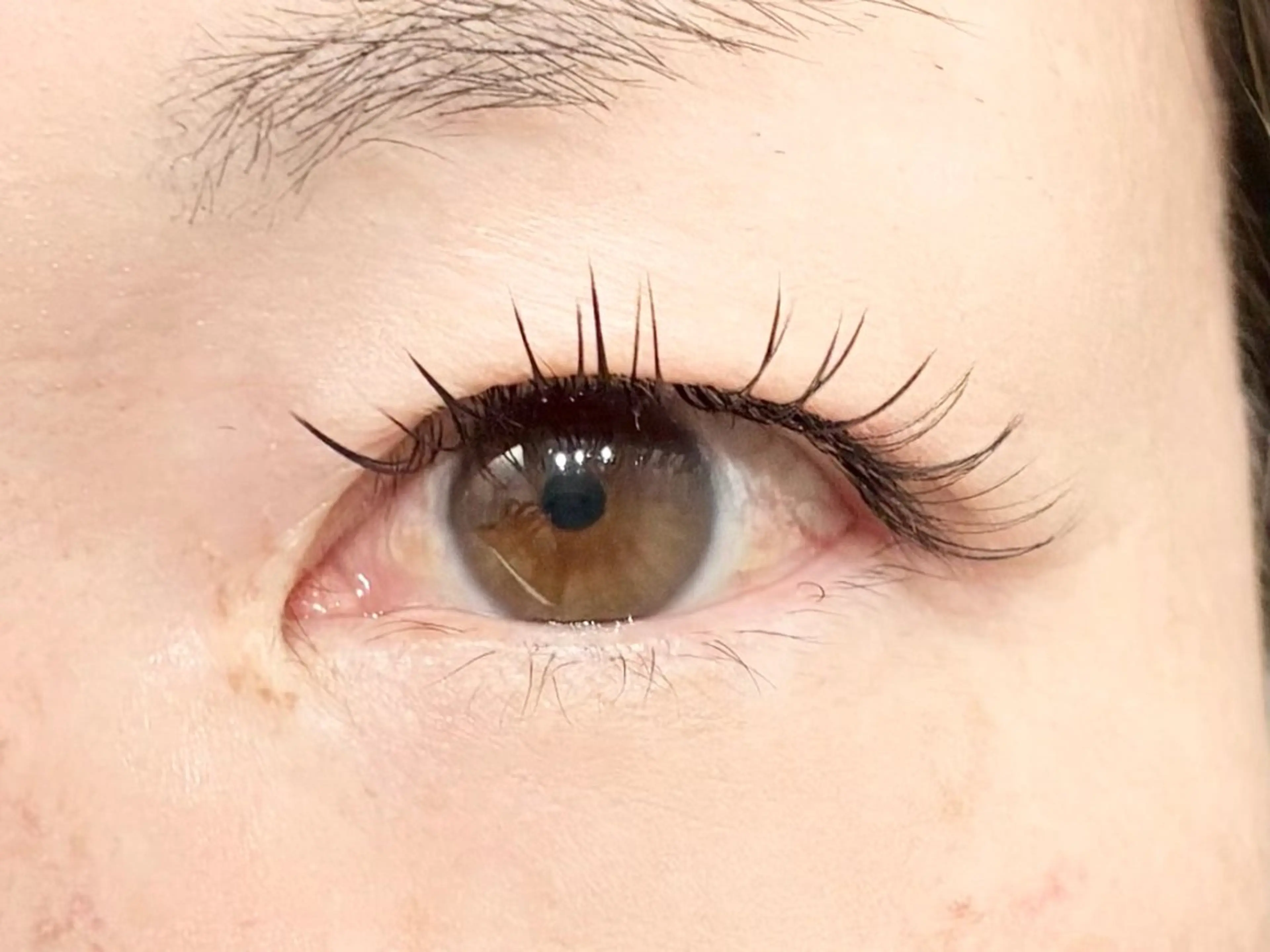 マツエク・マツパ フラットラッシュ マツエク 中村彩香 (エフドゥ)のマツエク・マツパデザイン