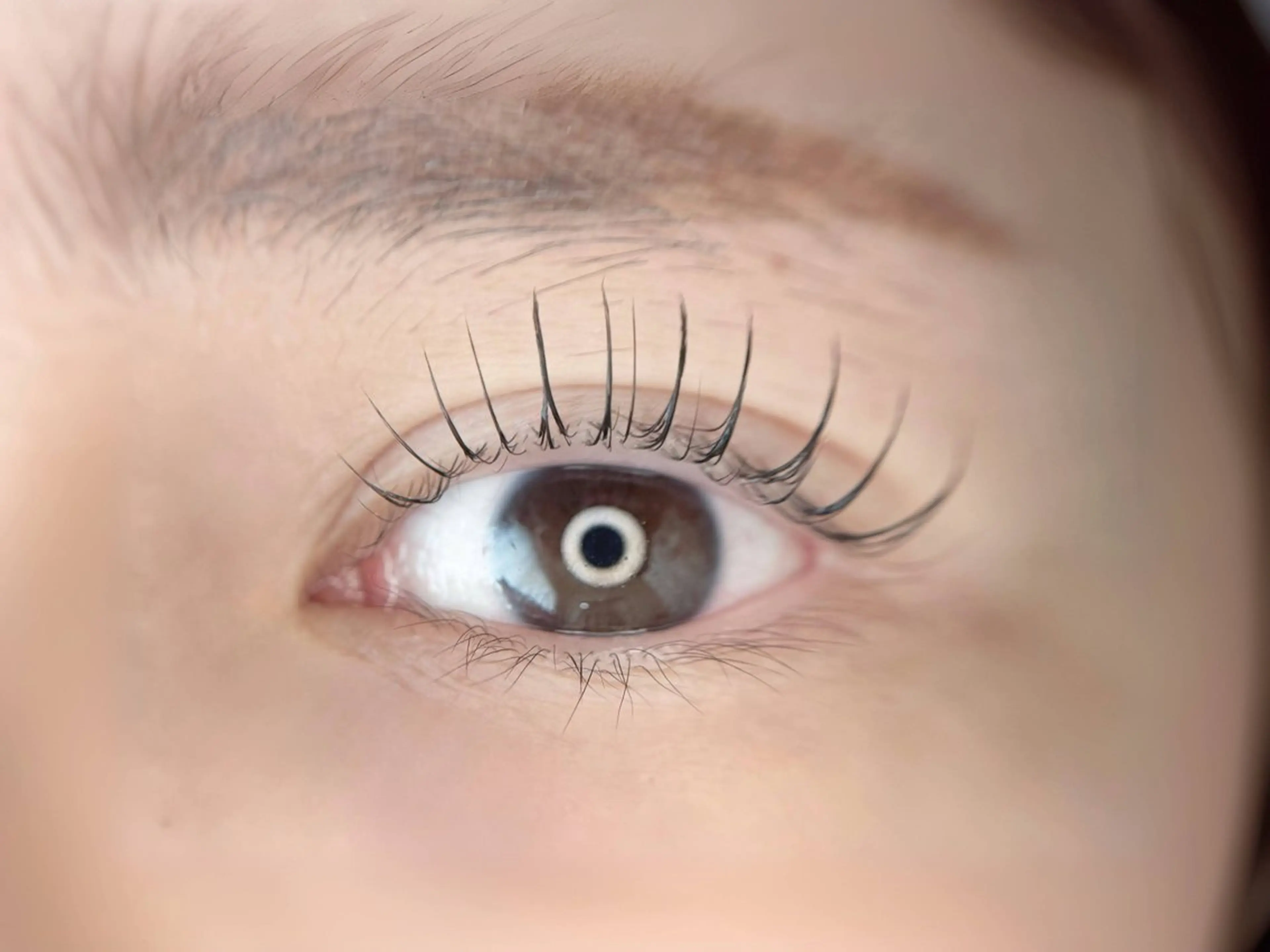 🐈⬛新規限定《ダメージレスまつ毛パーマ》🎵🖤の写真