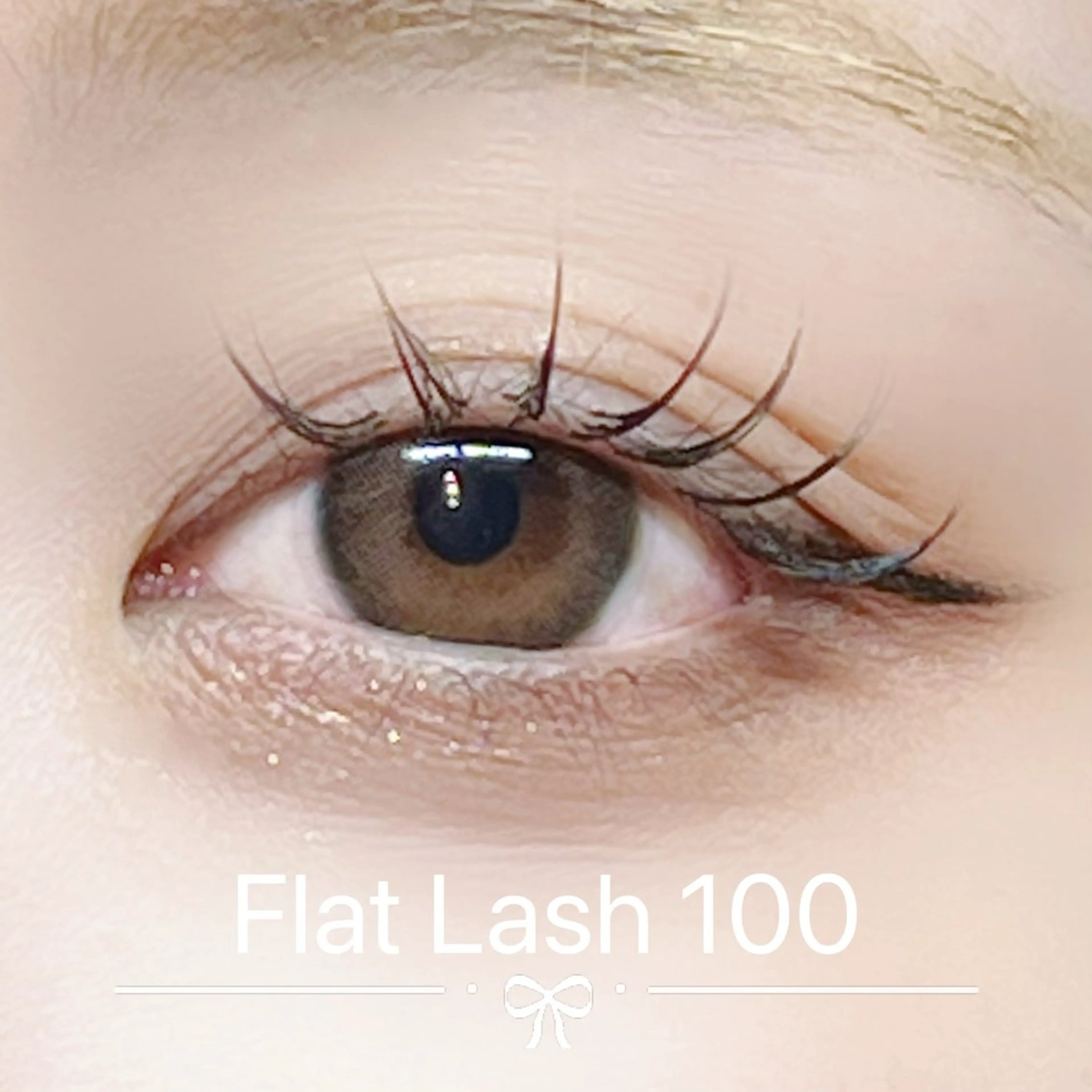 フラットラッシュ100の写真