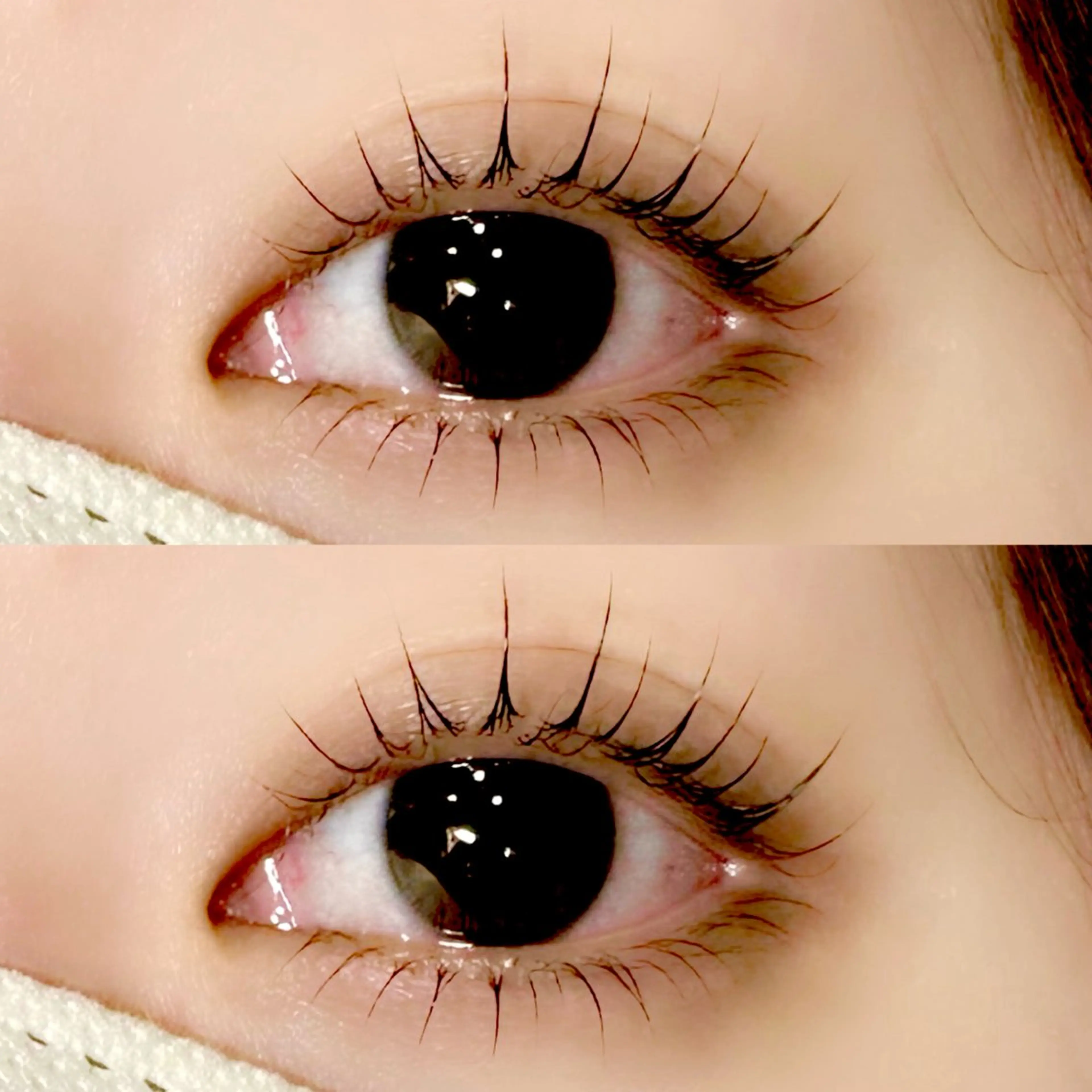 【4月限定】上下Lashlift ✧ 束感仕上げ🍒※写真撮影・SNS掲載可能な方のみの写真