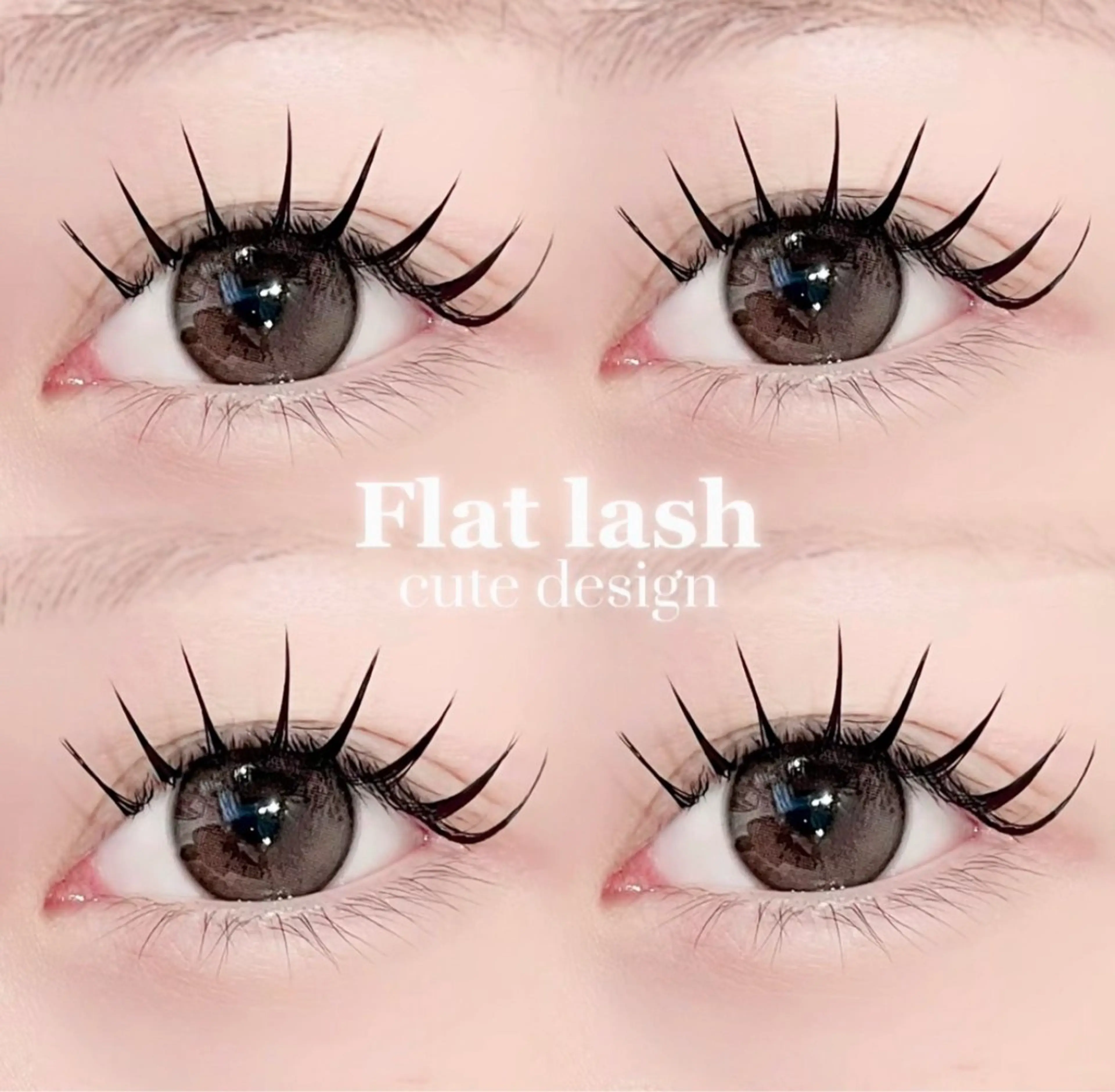 Lカール フラットラッシュ100本の写真