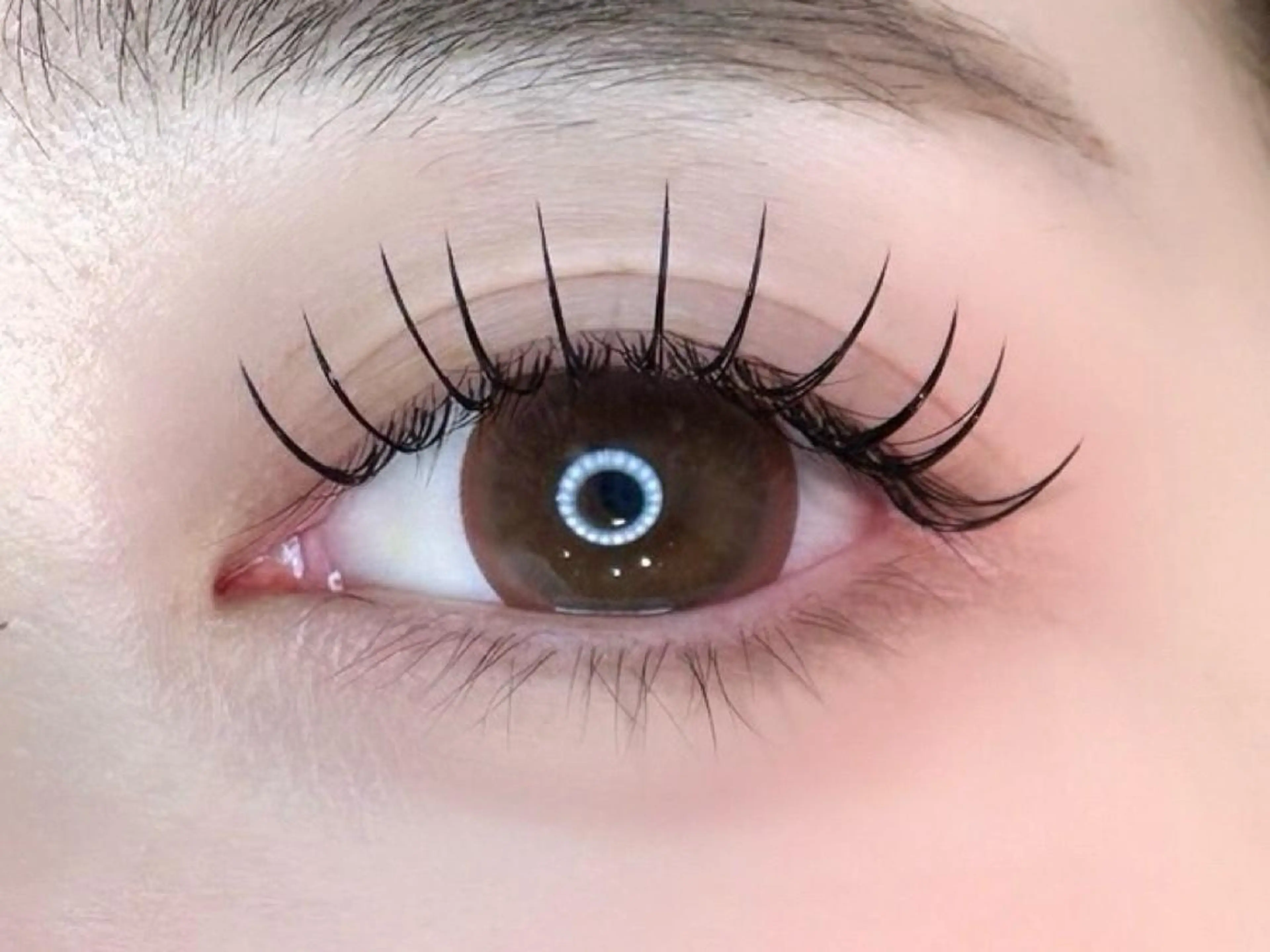 💠フラットラッシュ 140本💠(国産グルー使用✨コーティング付き)の写真