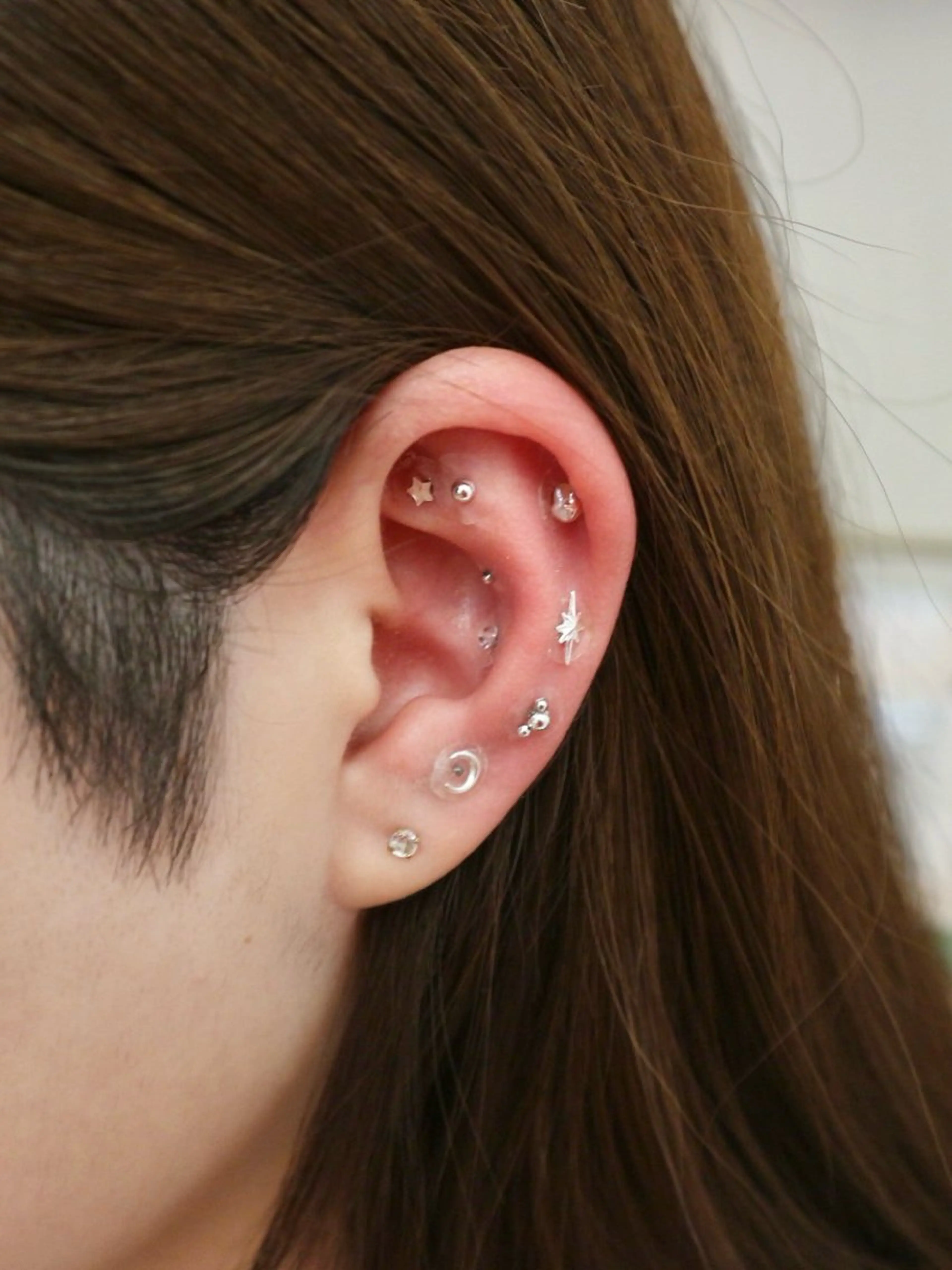 B.napus/mimi2bo所属・B.napus Nanohaのその他イメージ