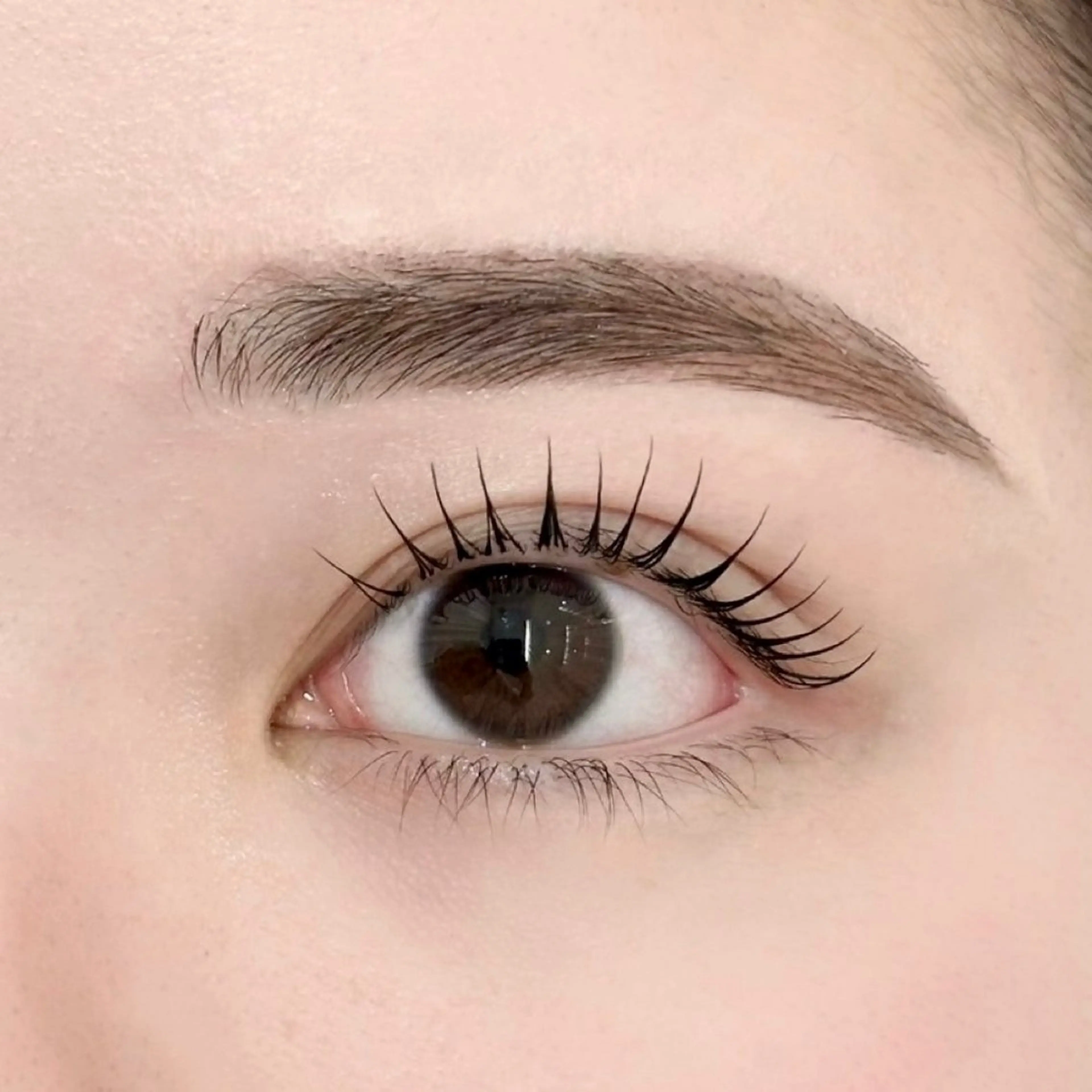 パリジェンヌ/デザインラッシュリフト🫧トリートメントで束感仕上げ🫧の写真