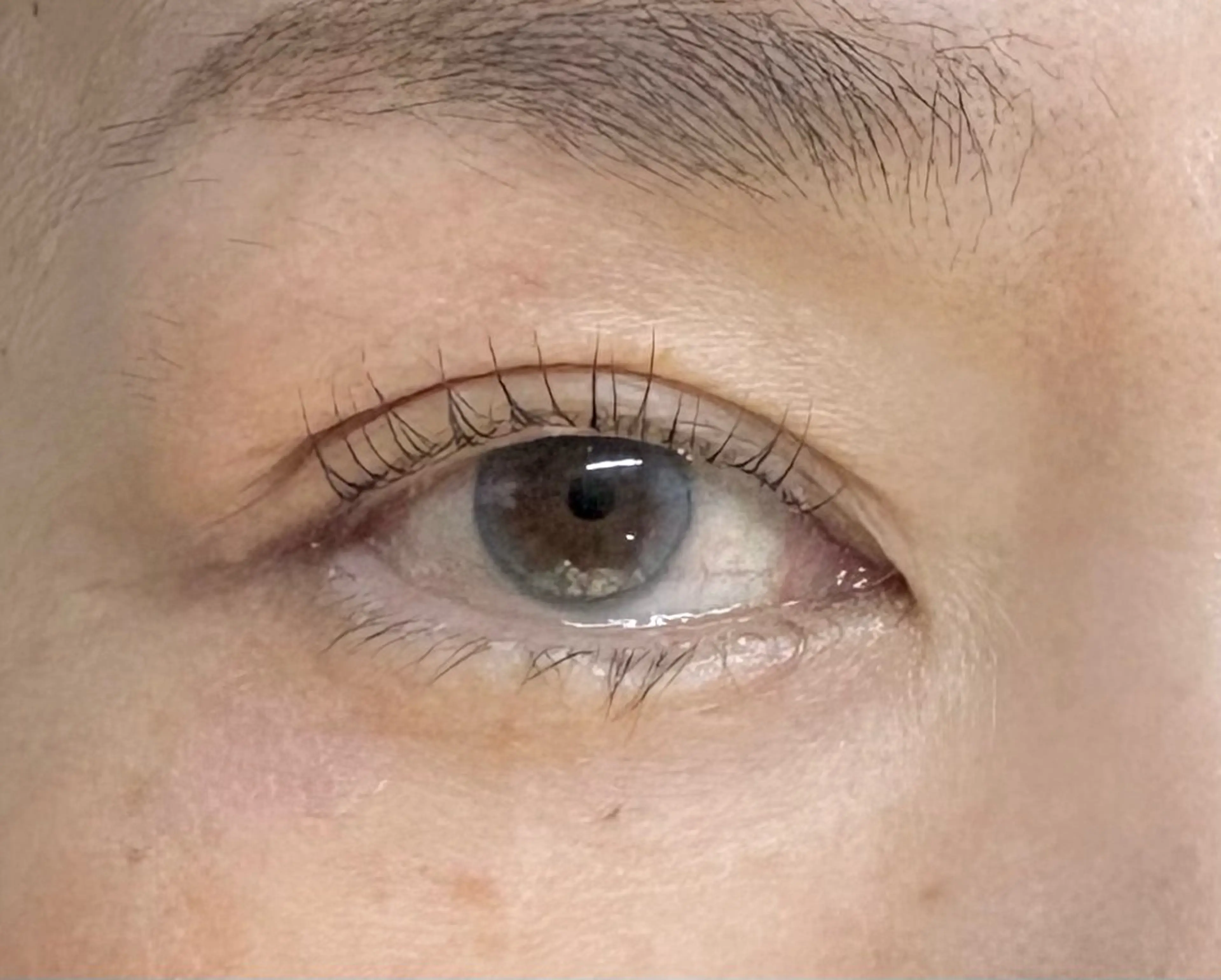 マツエク・マツパ Holus Moriguchiのマツエク・マツパデザイン