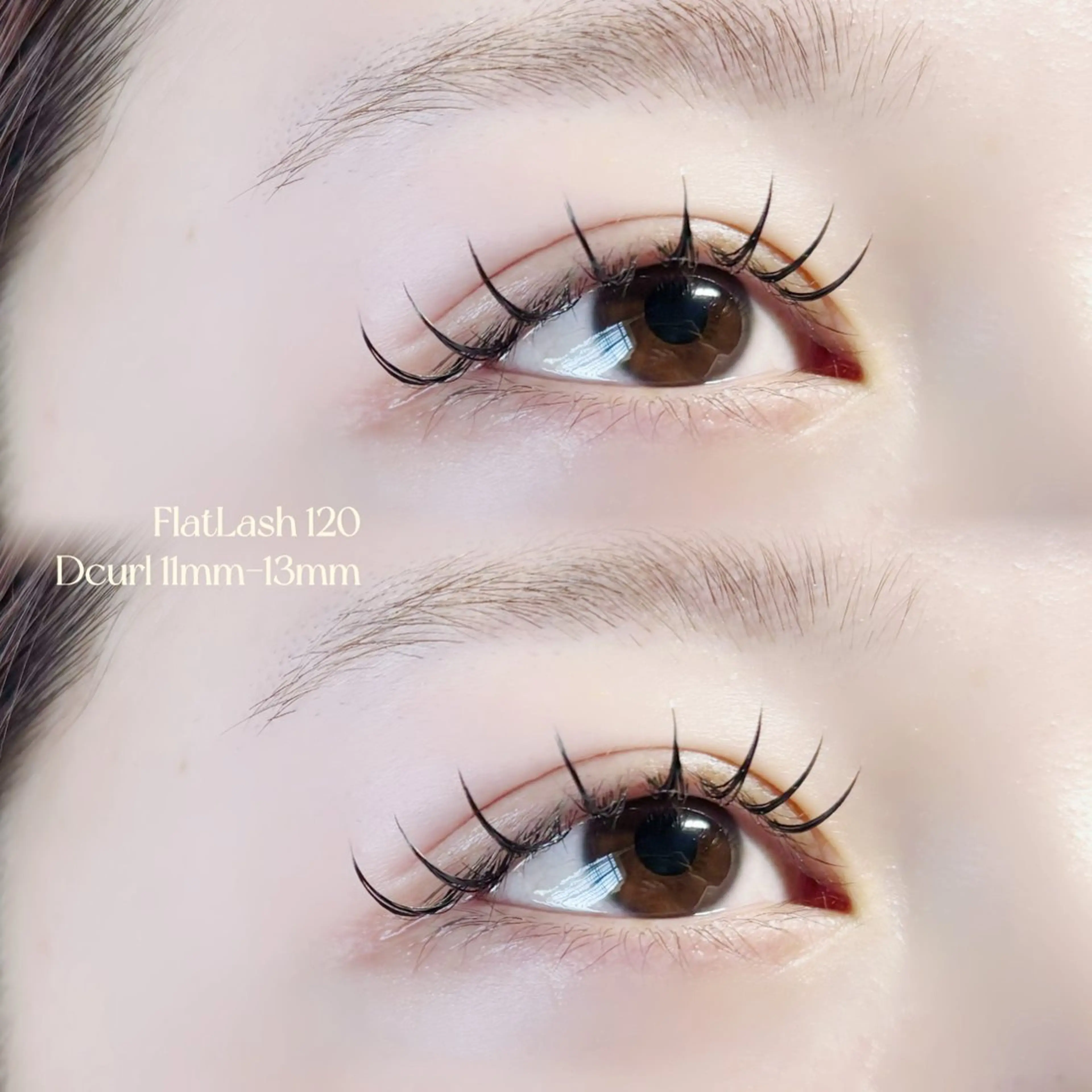 『平日限定』フラットラッシュ80本🧸⸝⋆*の写真