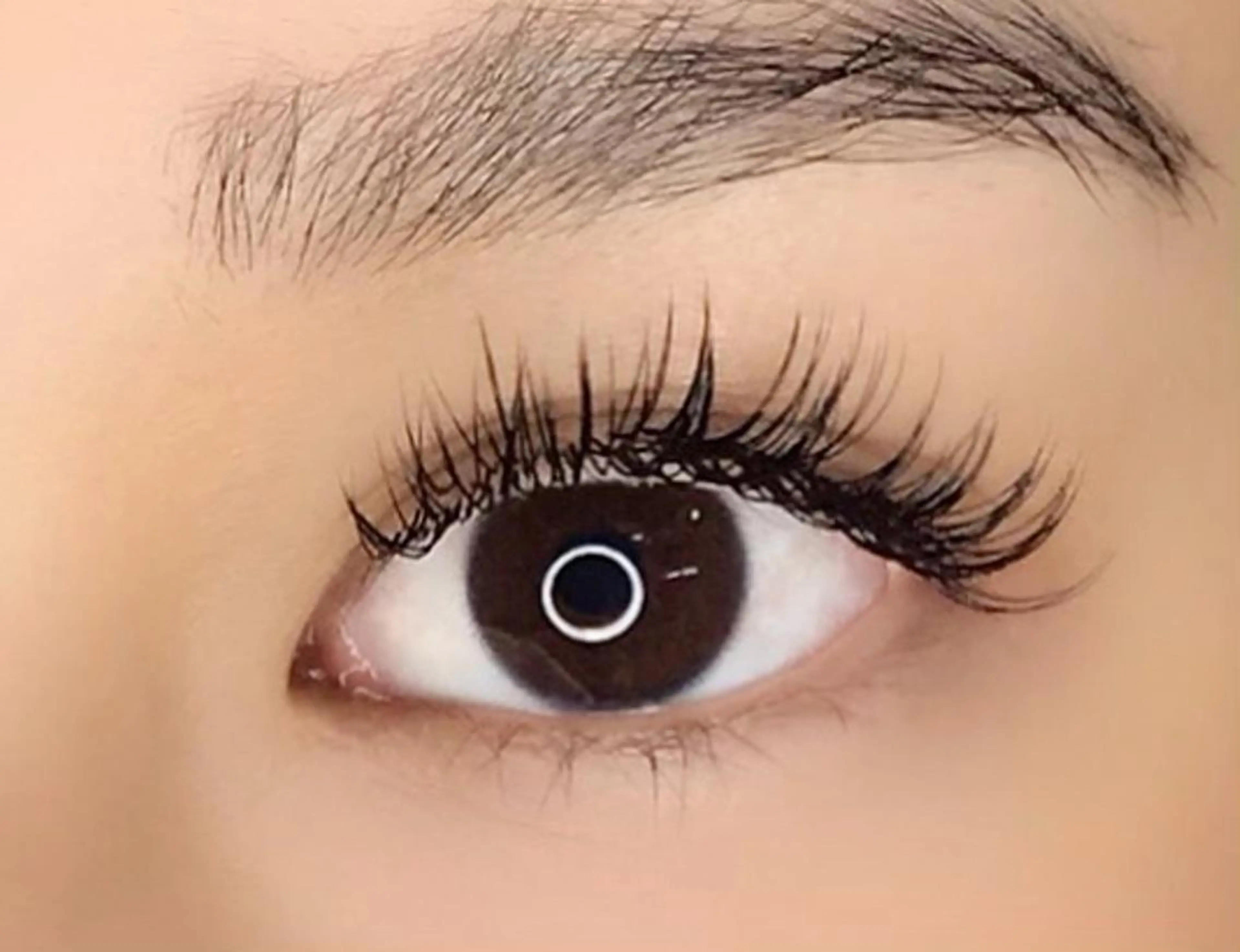 マツエク・マツパ フラットラッシュ マツエク ELLA 菊地のマツエク・マツパデザイン