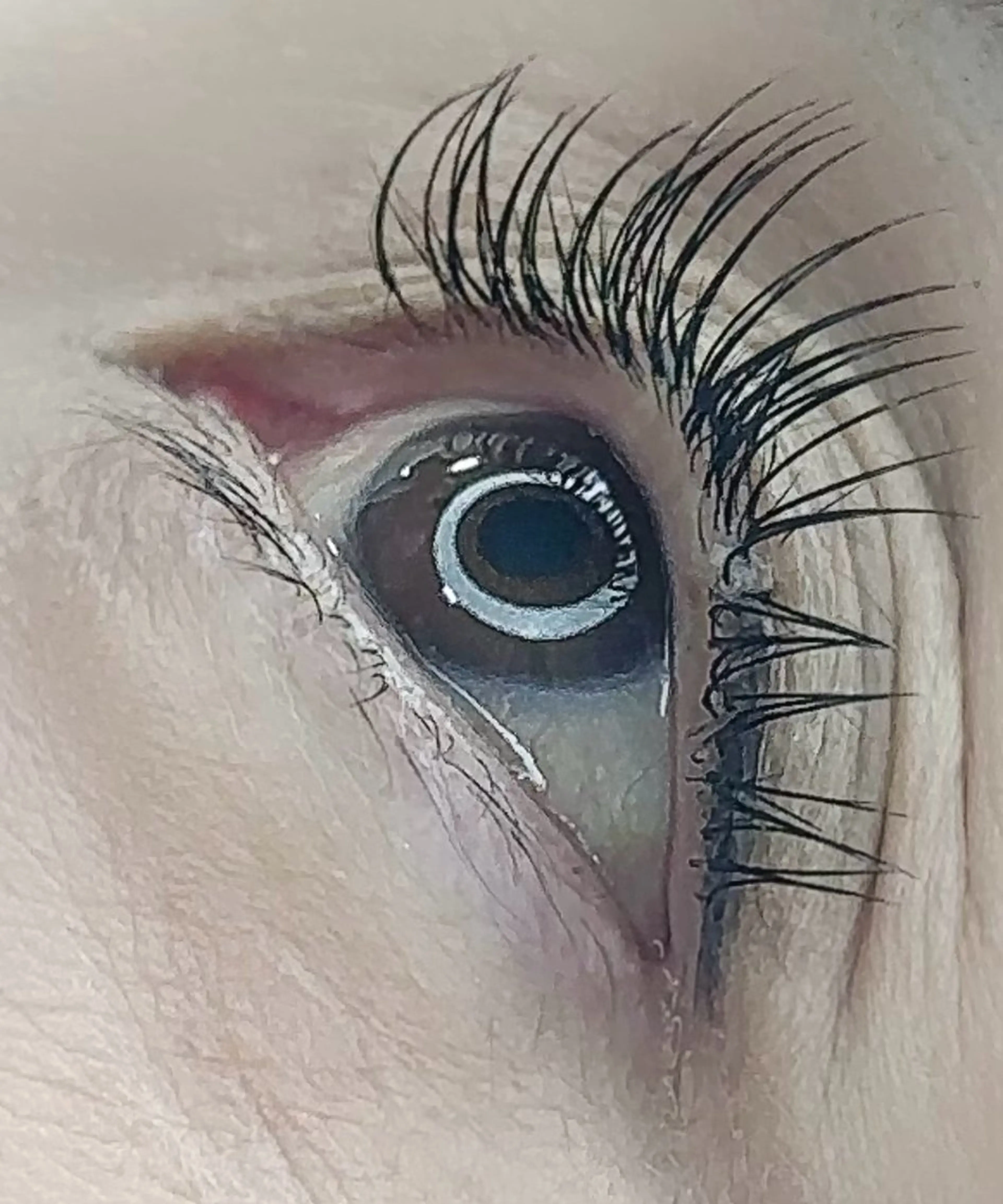 マツエク・マツパ arms lash 安藤のマツエク・マツパデザイン