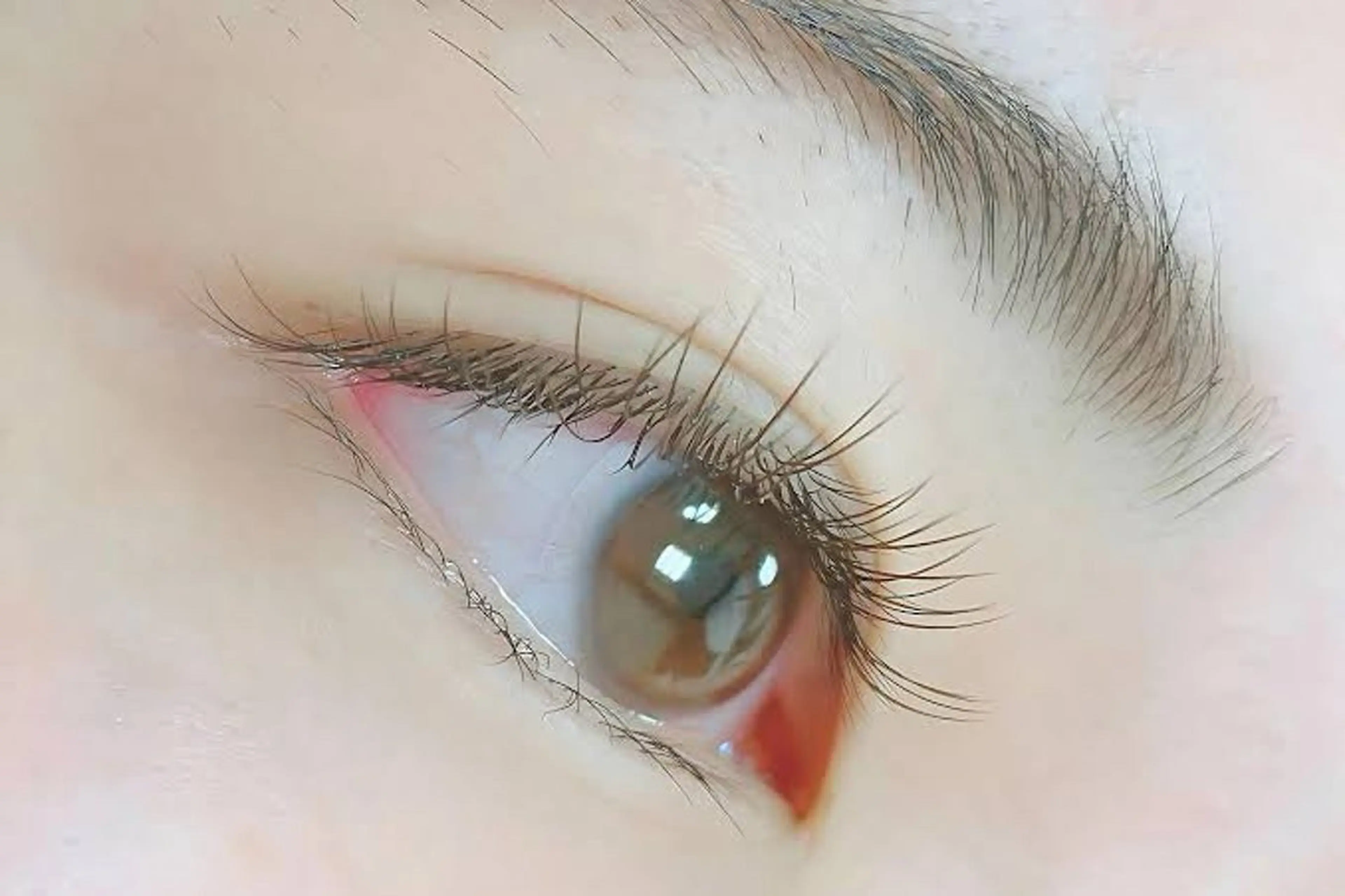 【ミニモ限定】フラットラッシュ80本(ナチュラル系)上のみ🍀LEDグルーor通常グルー選べます♪の写真