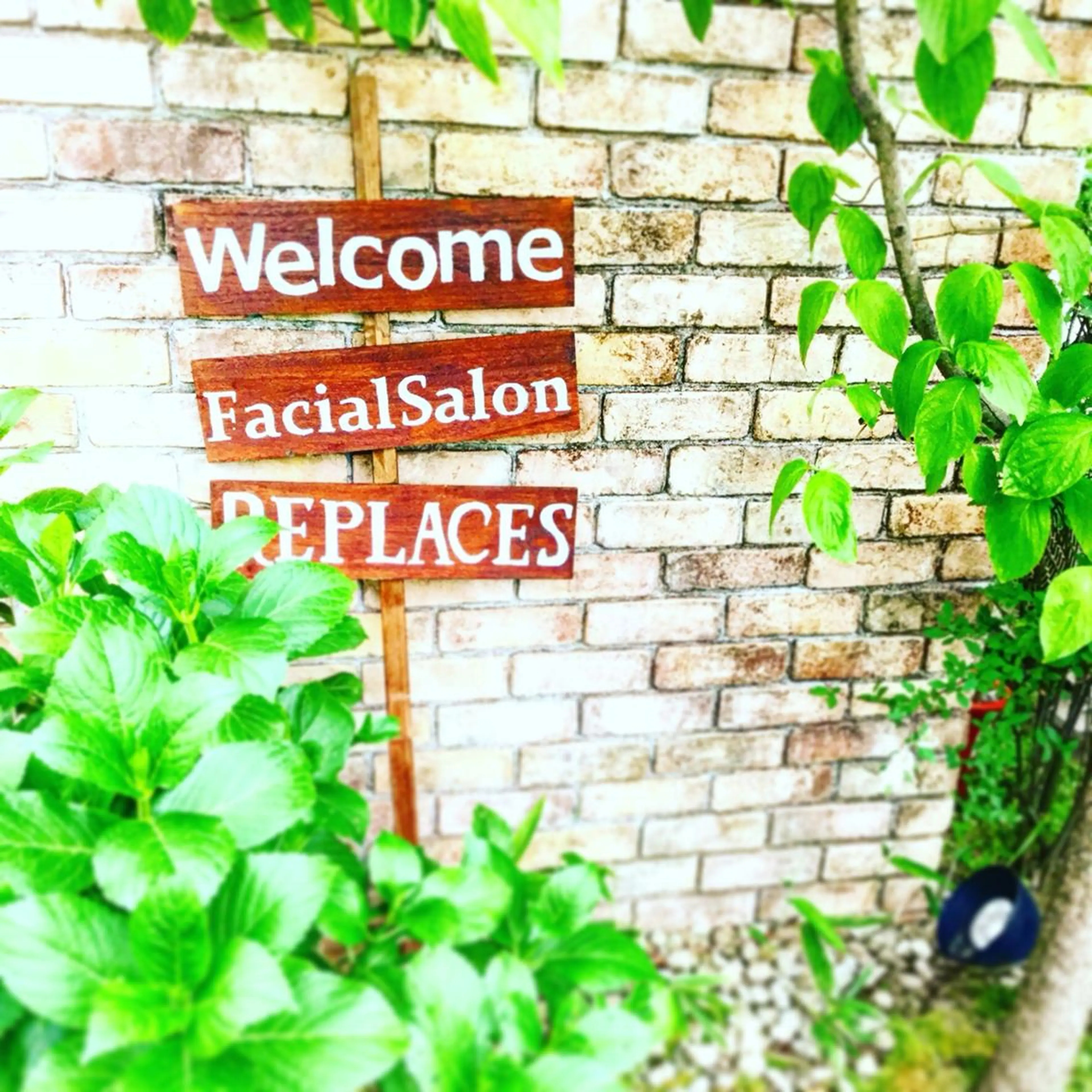 菊地 恵美のエステ・リラクイメージ