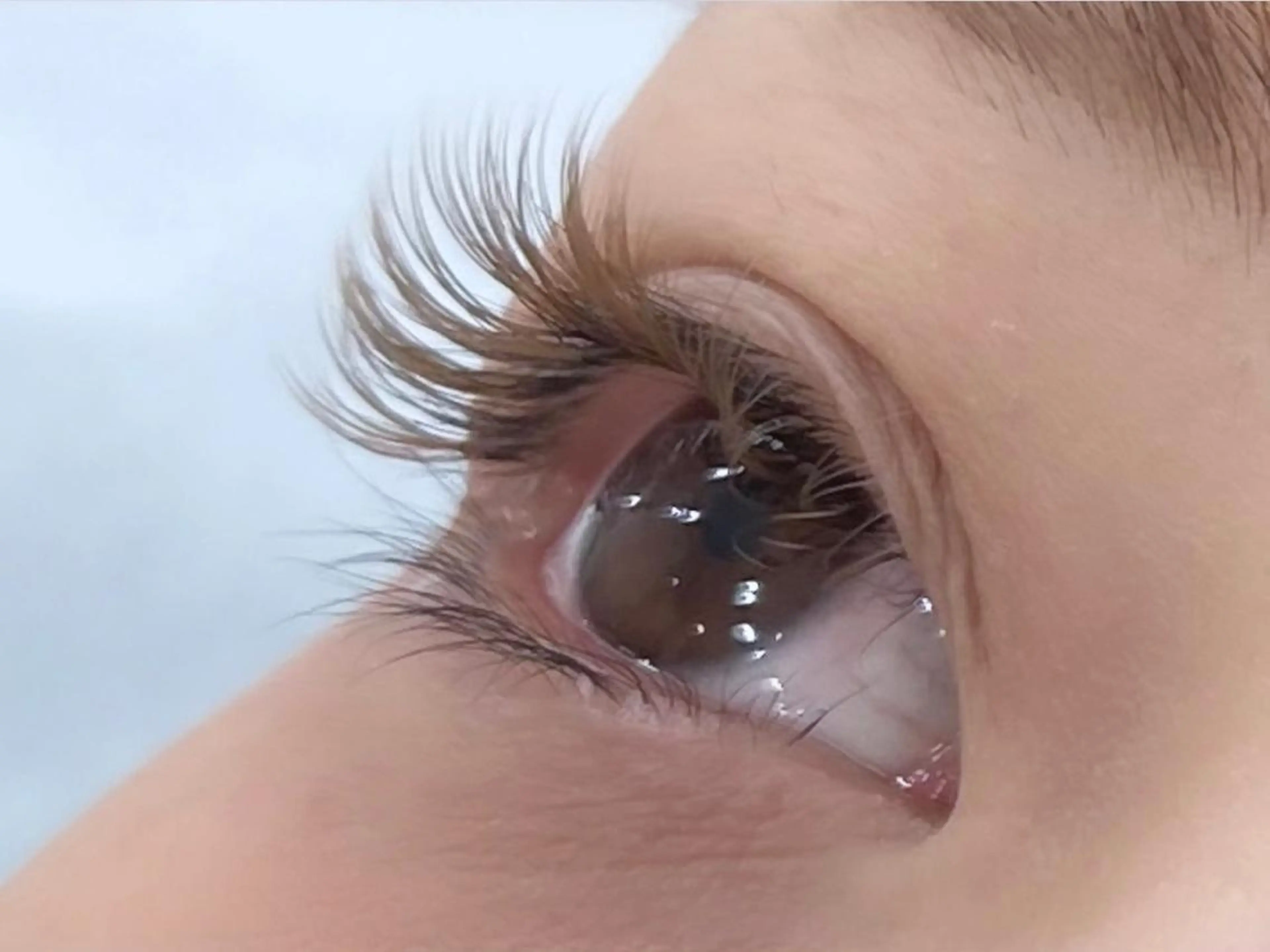 マツエク・マツパ カラーマツエク ボリュームラッシュ 山脇🐋🤍 アンジェリカ錦糸町のマツエク・マツパデザイン