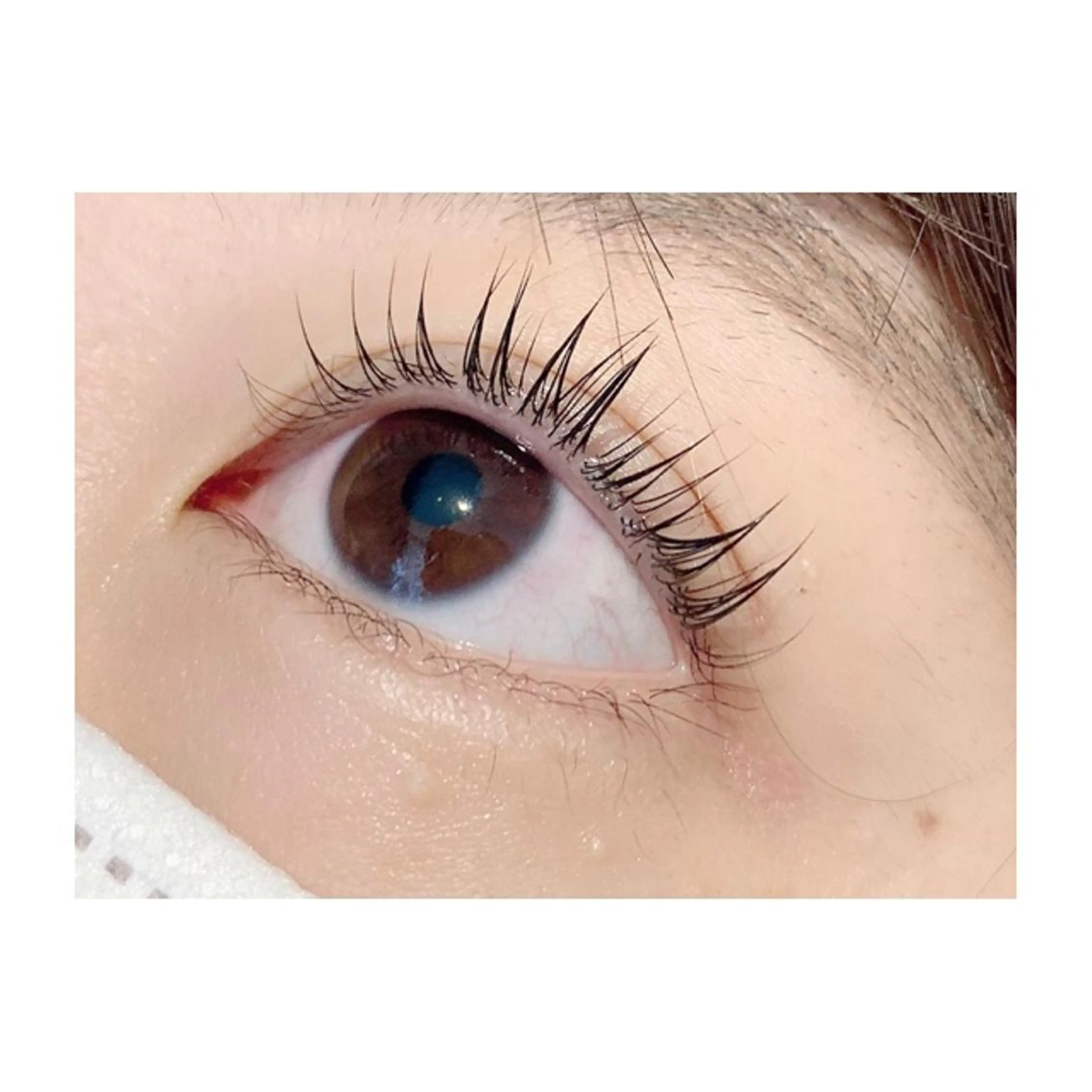 🎶全員🎶パリジェンヌラッシュリフト/パーマラッシュリフト¥4800の写真