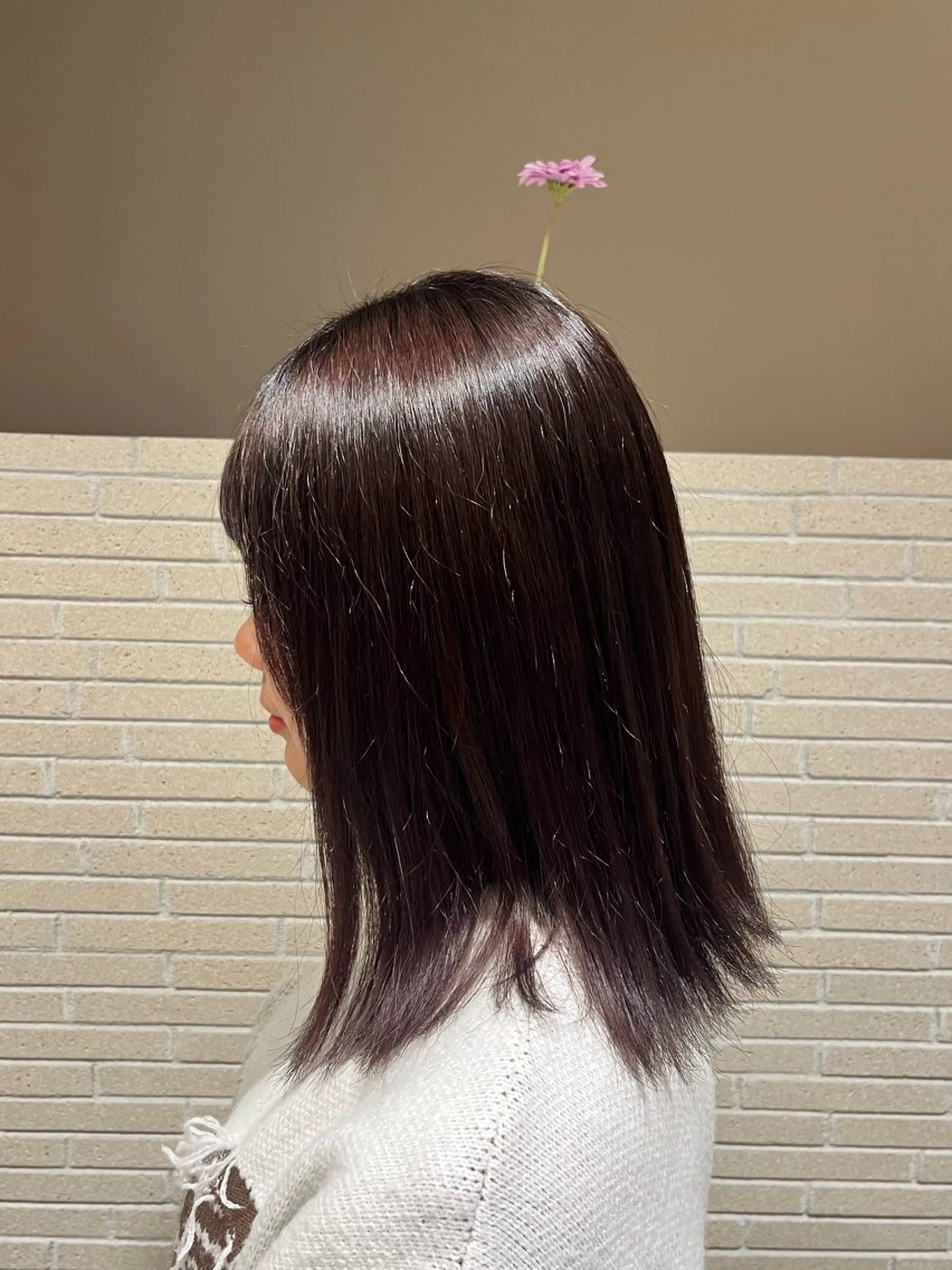 ミディアム カラー ハイトーンカラー レッドカラー アサノ メグミのヘアスタイル