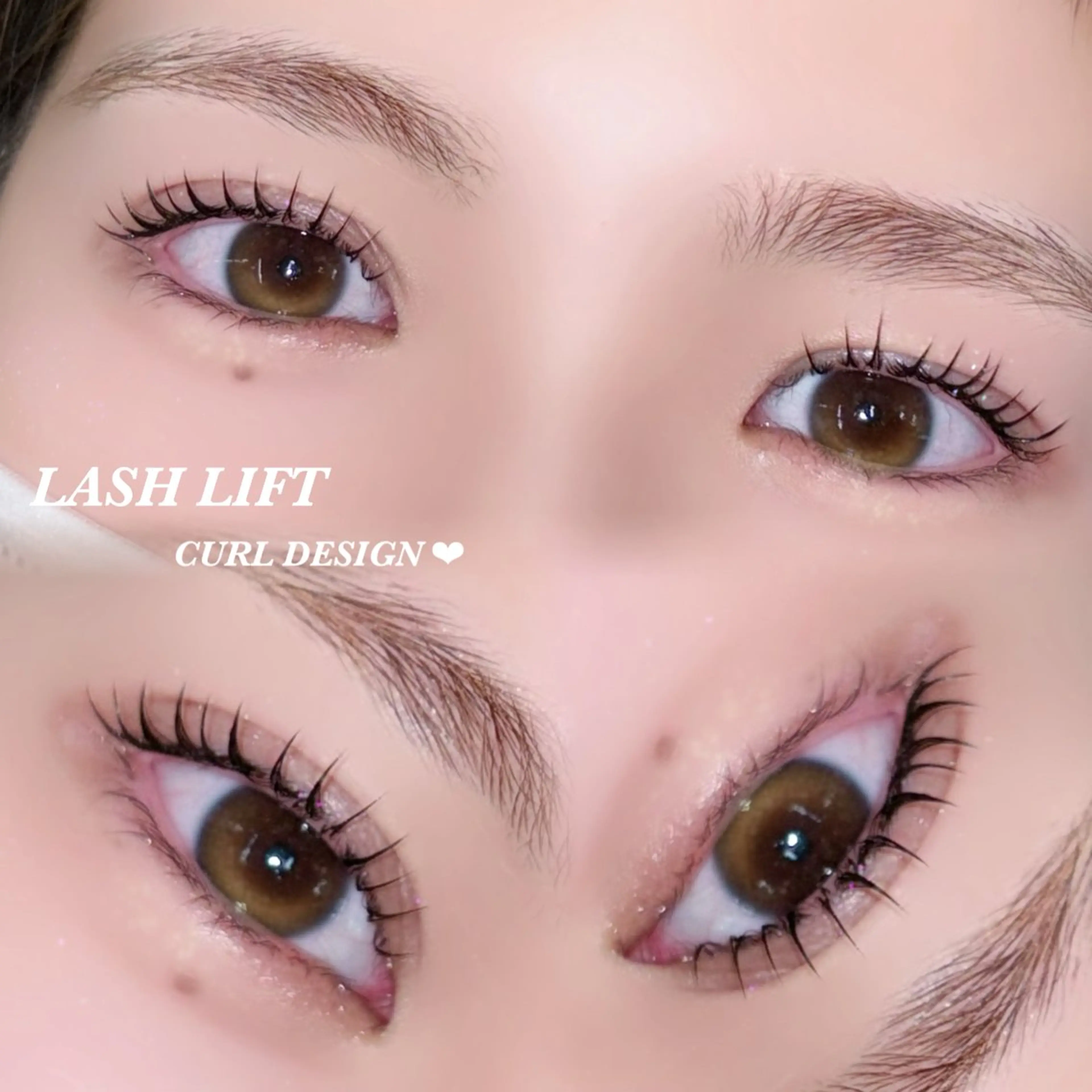 【♡移転キャンペーン♡】 まつげパーマ上のみ+ トリートメント仕上げ🫧の写真