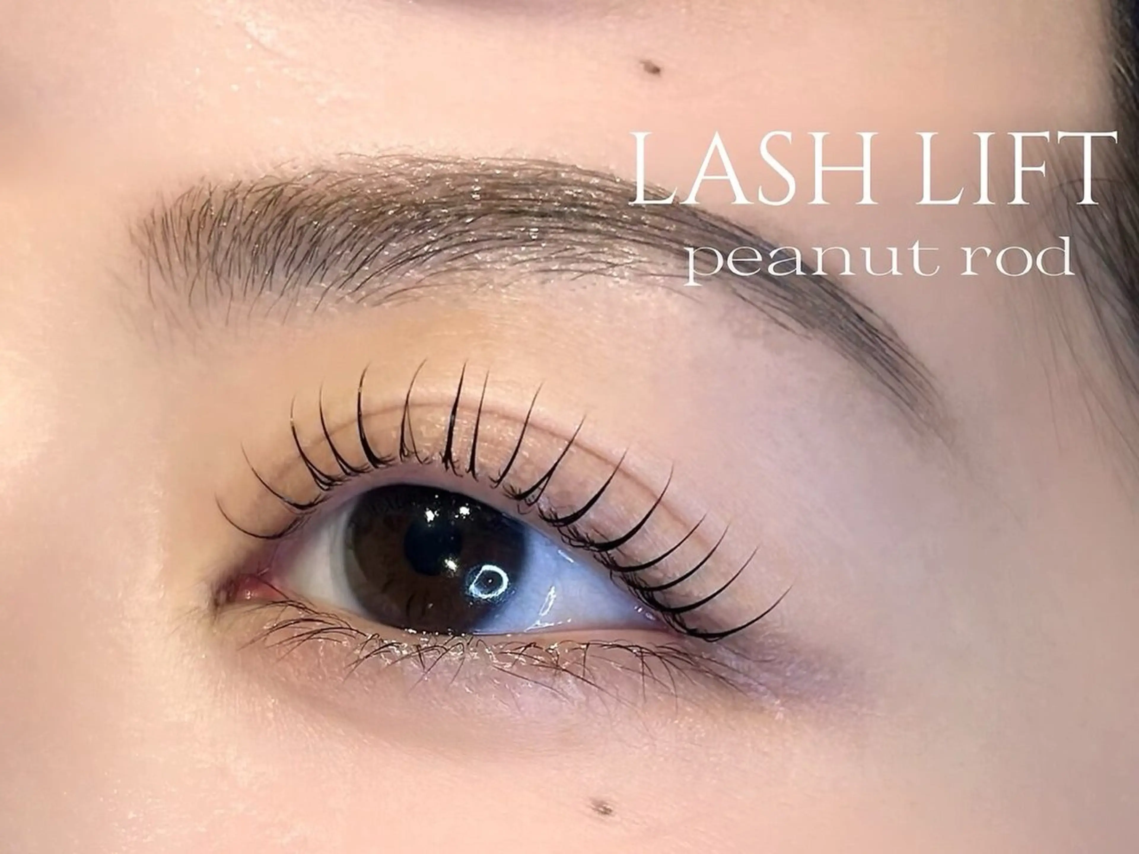 🤍【モデル募集】🤍パリジェンヌラッシュリフトorまつ毛パーマ【コーティング付き】の写真