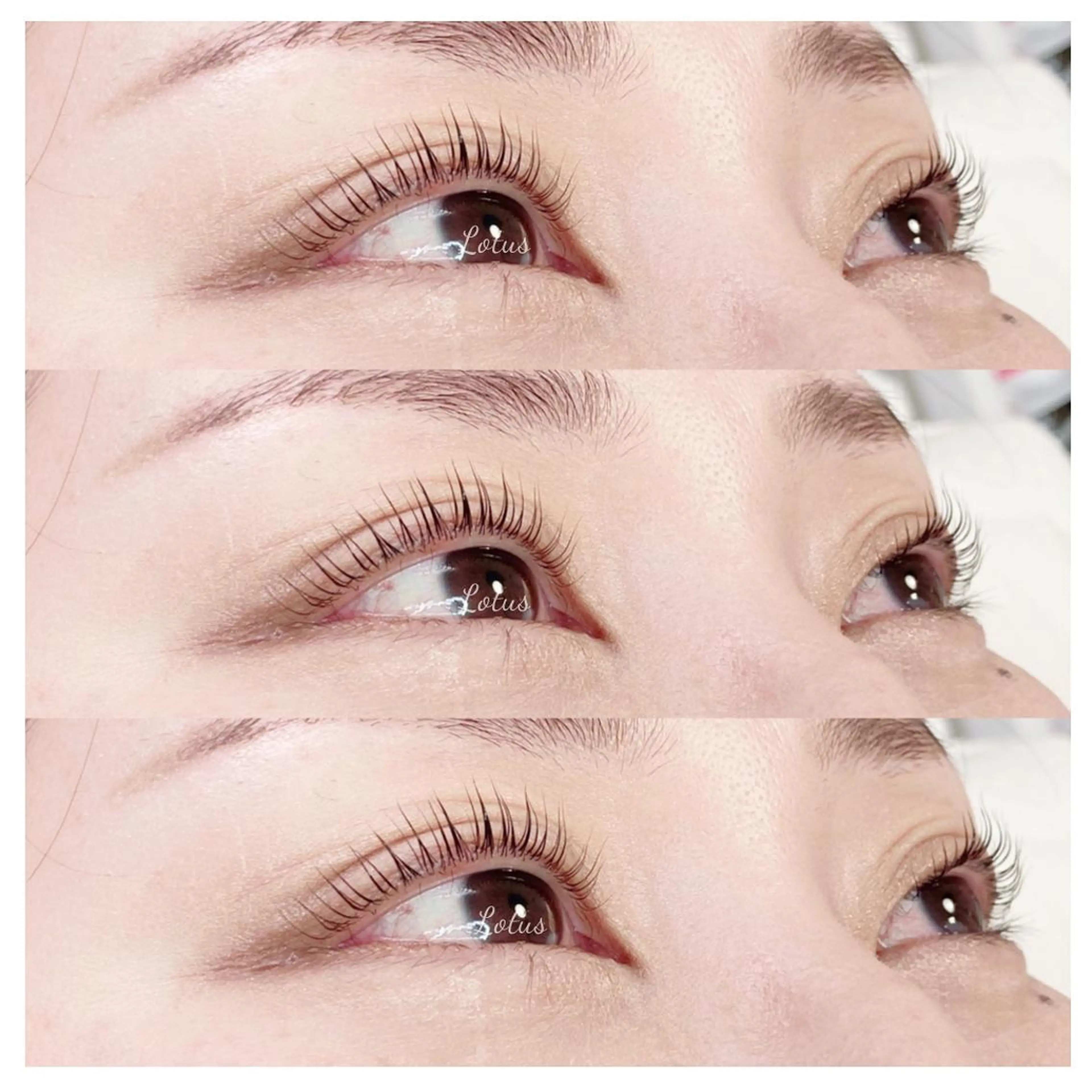 マツエク・マツパ マツパ Lotus所属・Lotus ロータスのマツエク・マツパデザイン