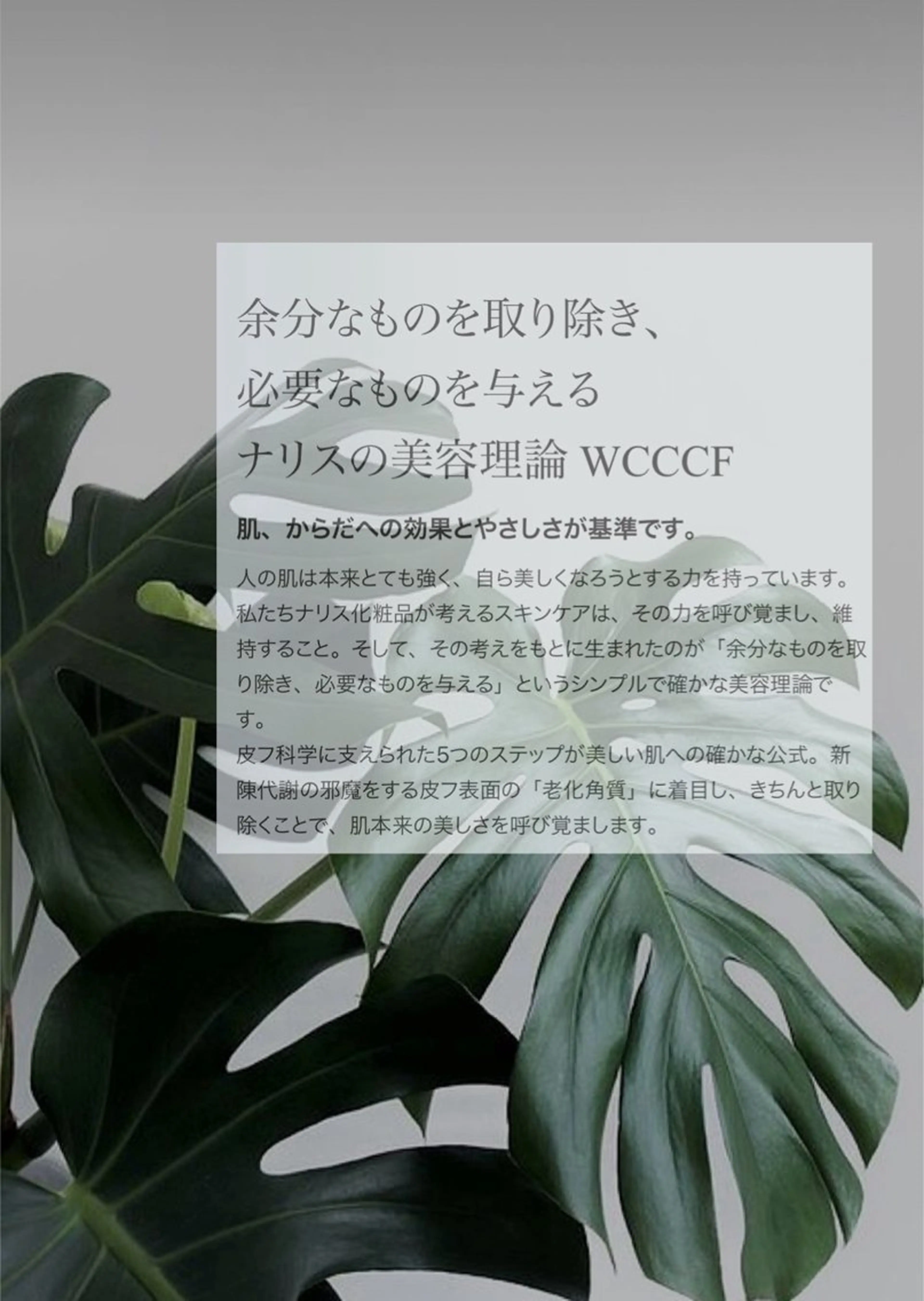 Aspility /天文館のエステ・リラクイメージ