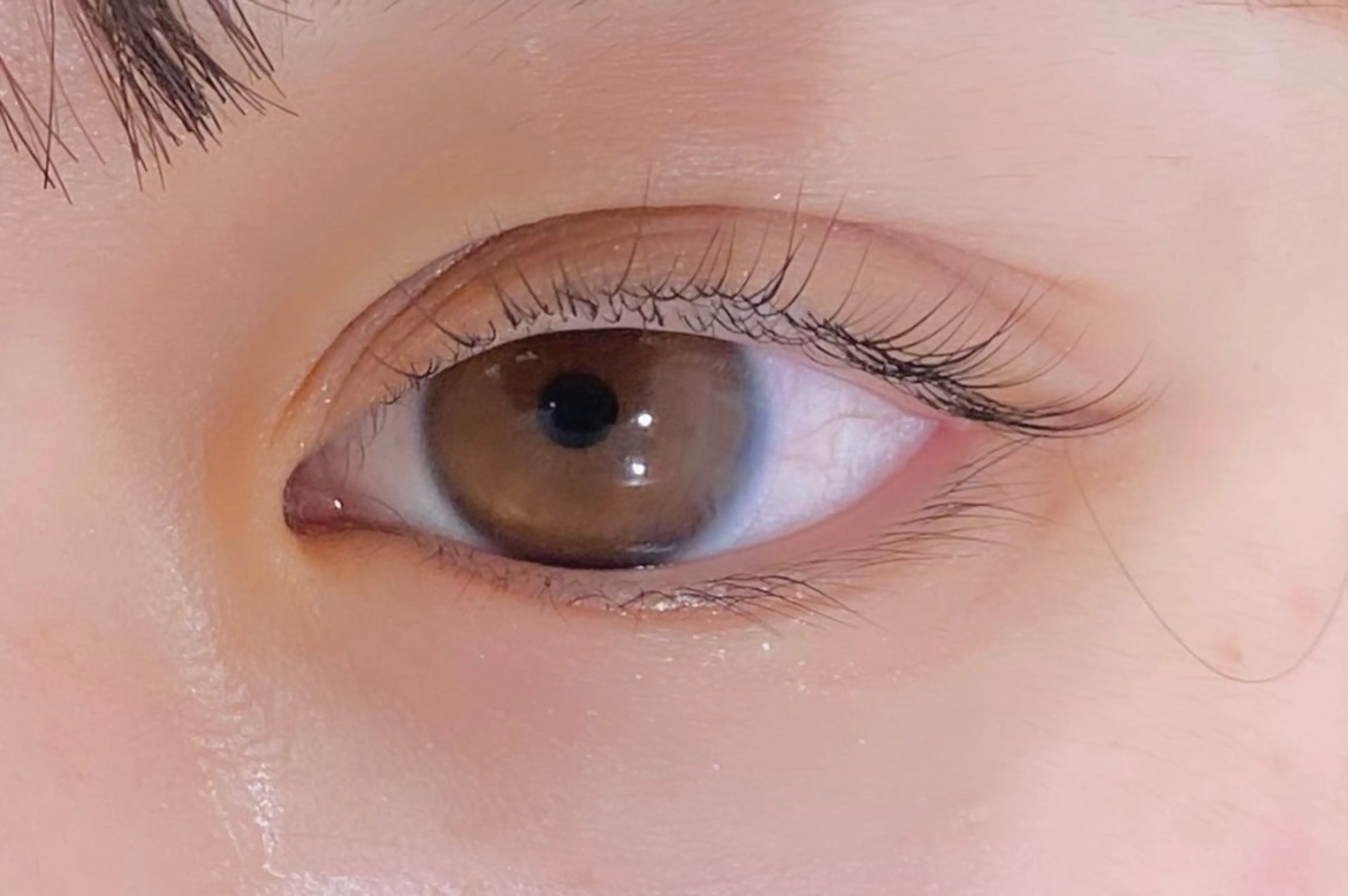 マツエク・マツパ Chipie オカモトの眉毛・アイブロウイメージ