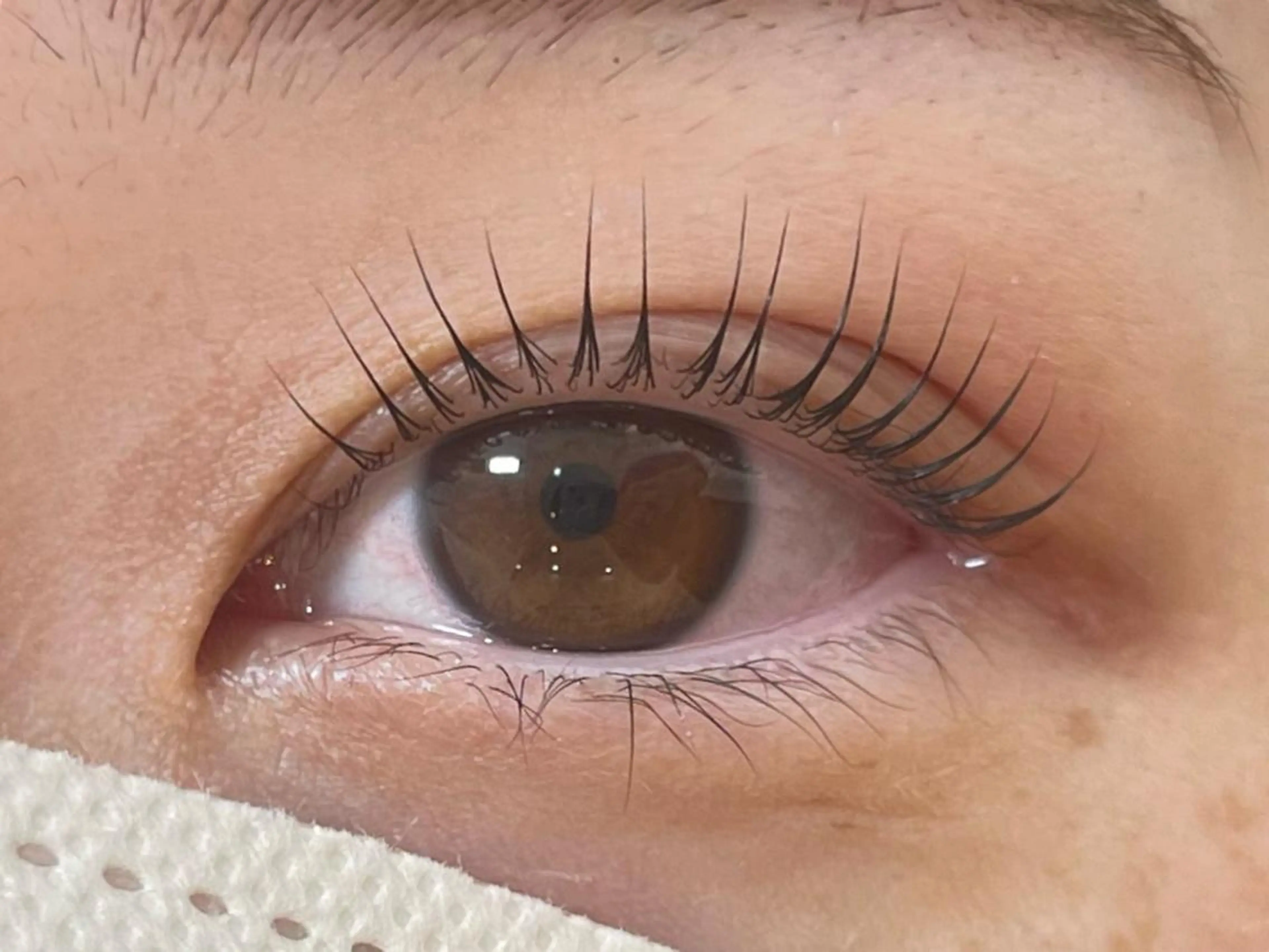 マツエク・マツパ パリジェンヌラッシュリフト anela MOMOKA🎀のマツエク・マツパデザイン