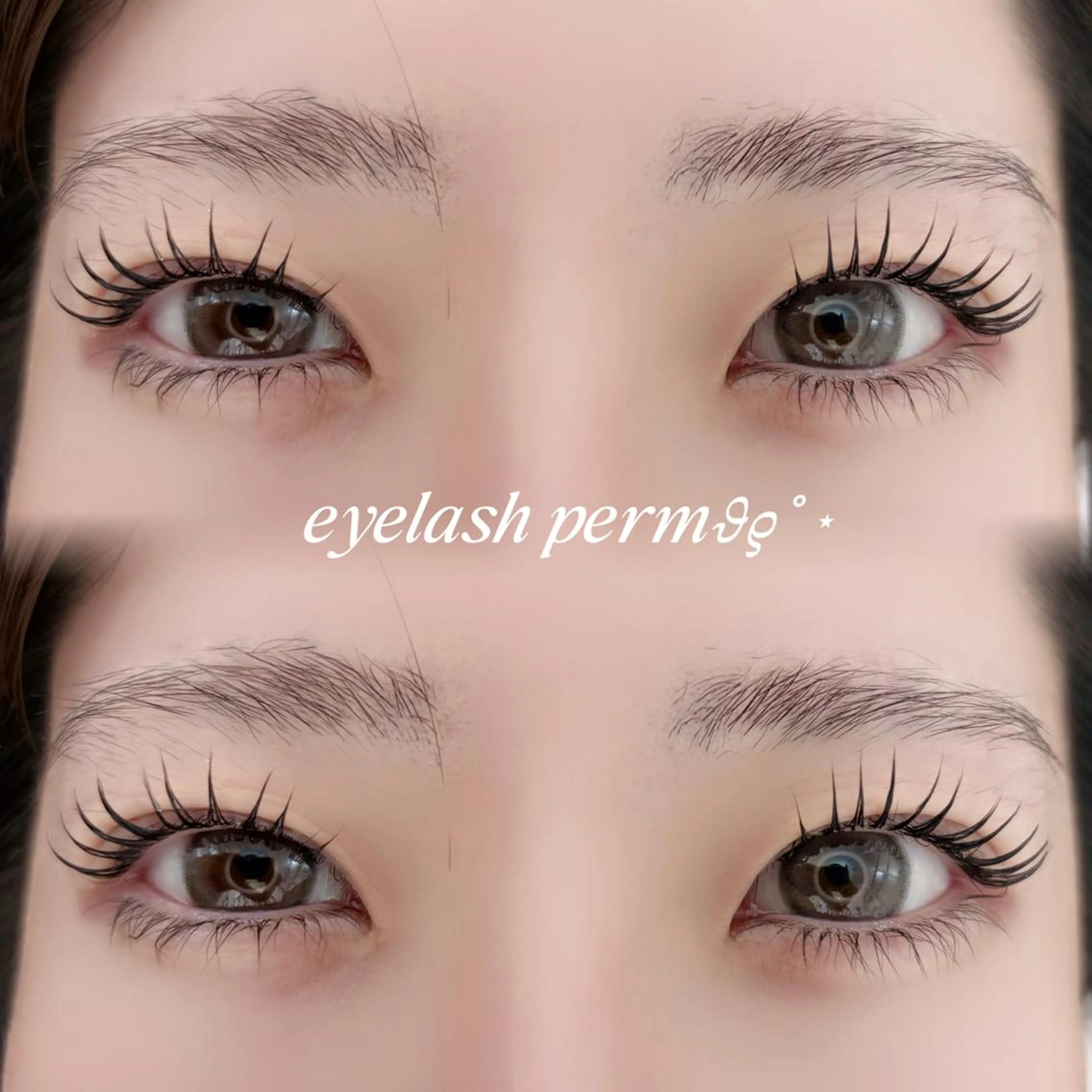 【無料モデル募集】まつげパーマ￥0 ※オフ不可※の写真