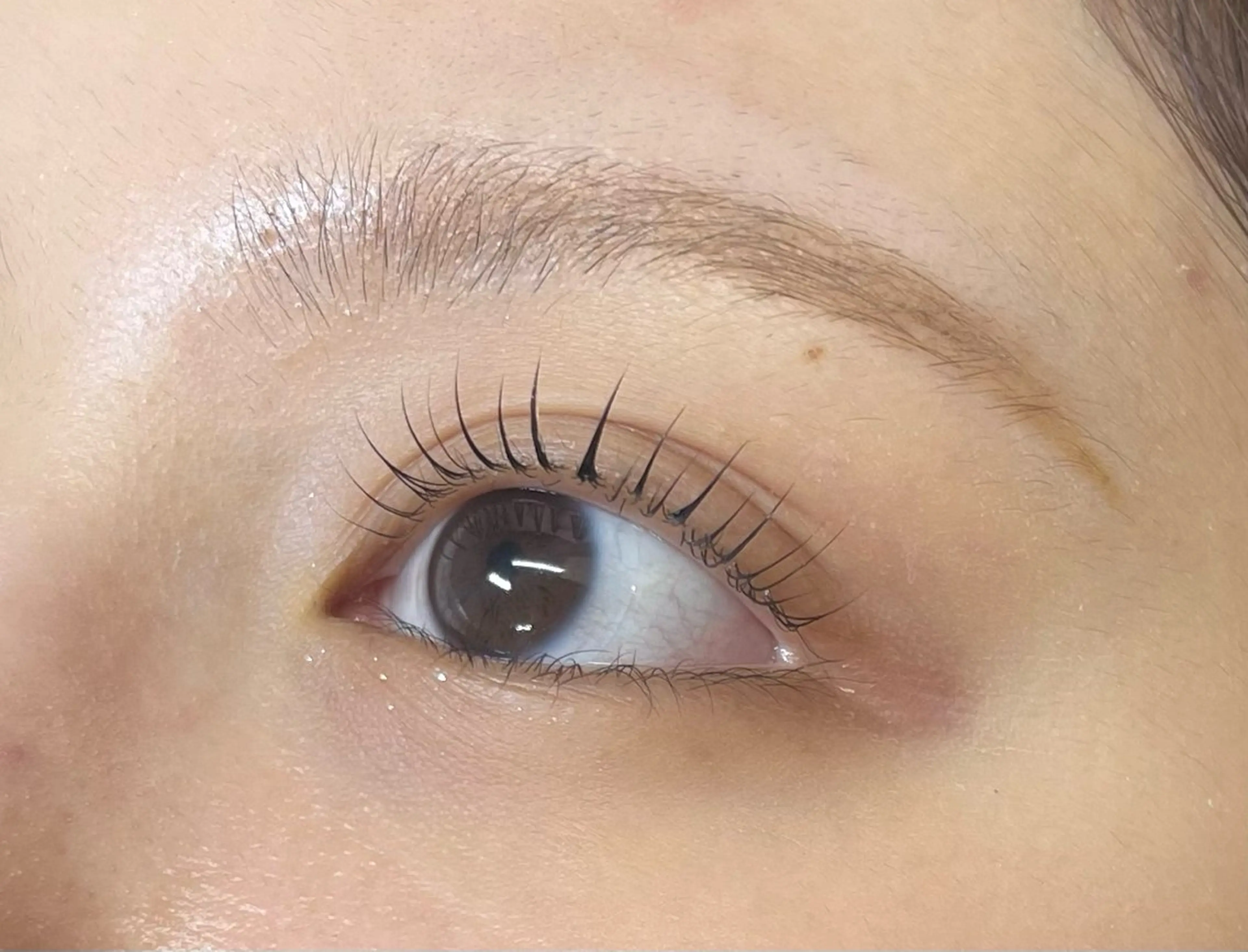 マツエク・マツパ サクラブロウ 渋谷店のマツエク・マツパデザイン