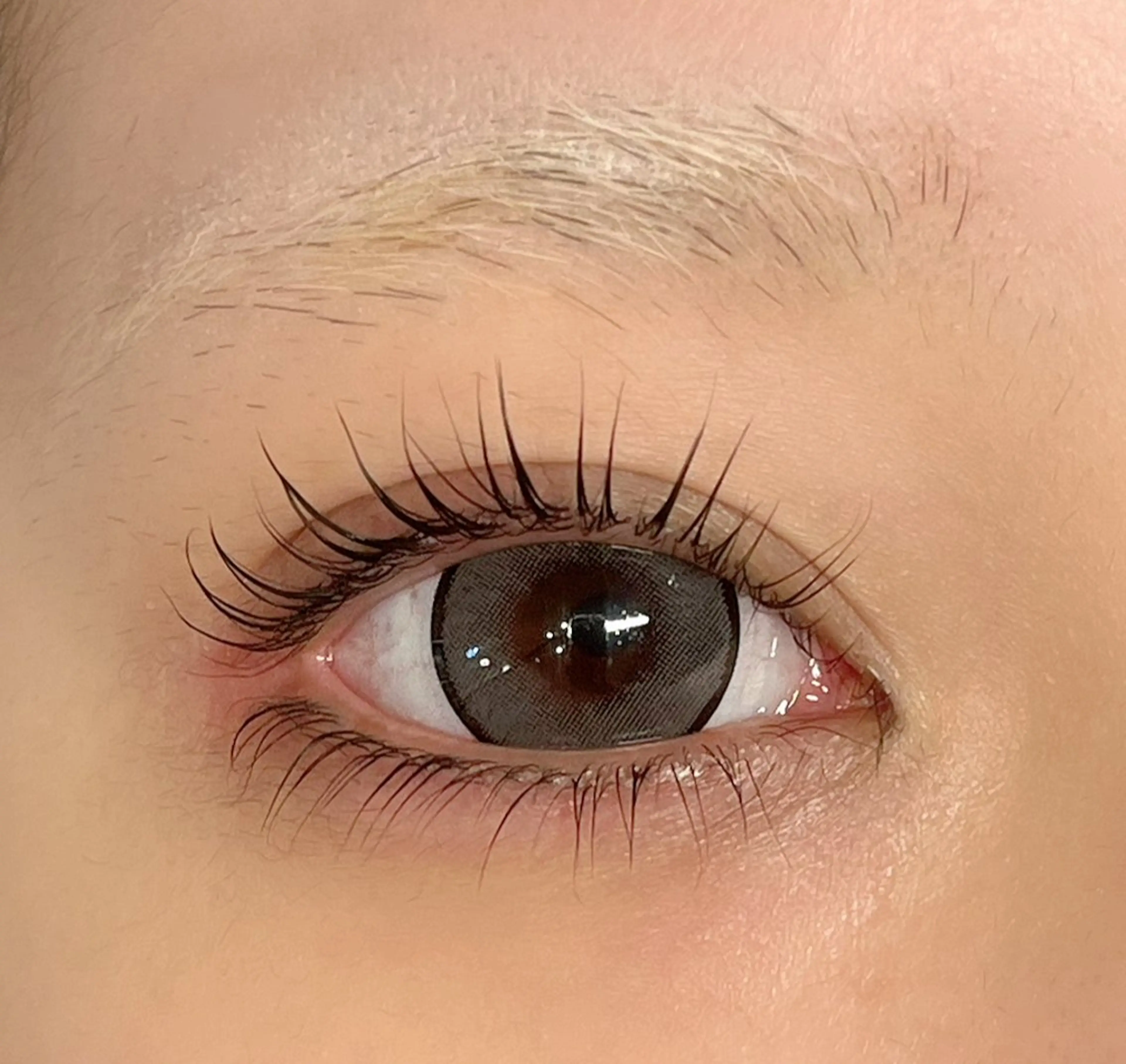 マツエク・マツパ パリジェンヌラッシュリフト Bruges 久留島のマツエク・マツパデザイン