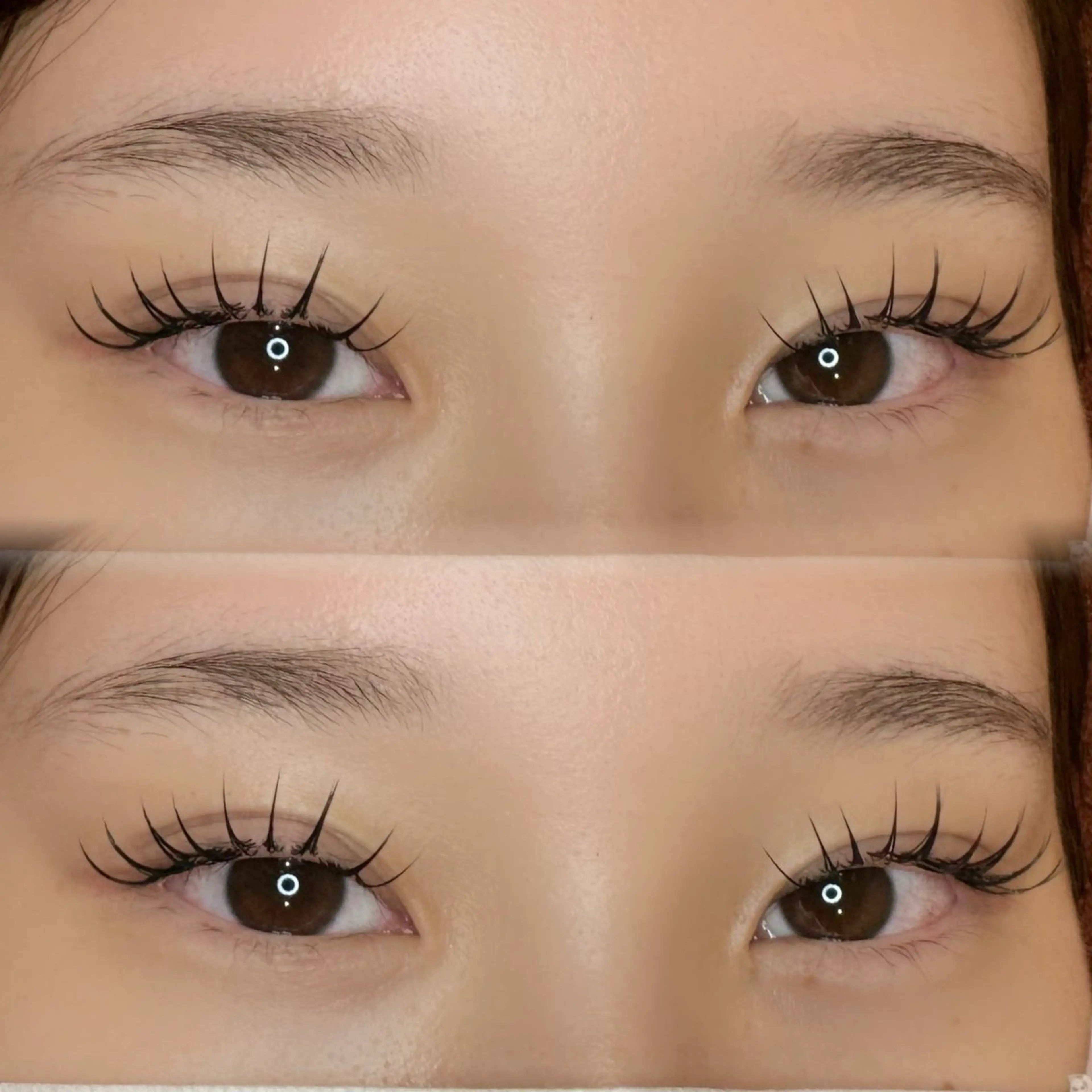 【12月限定🎄】まつエク上100本 ¥3980の写真