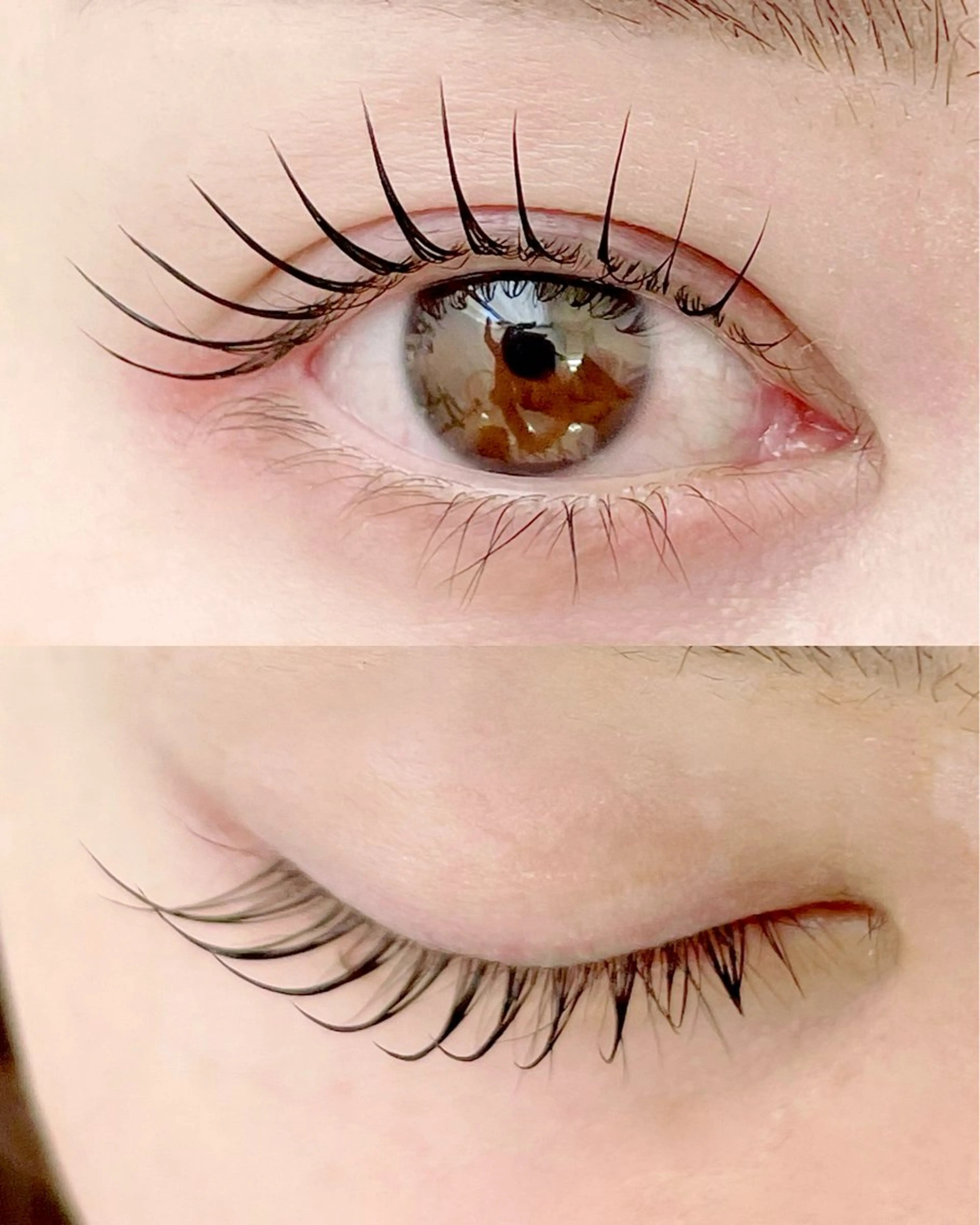 マツエク・マツパ マツパ まつ毛、眉毛 専門店🎀🐻のマツエク・マツパデザイン