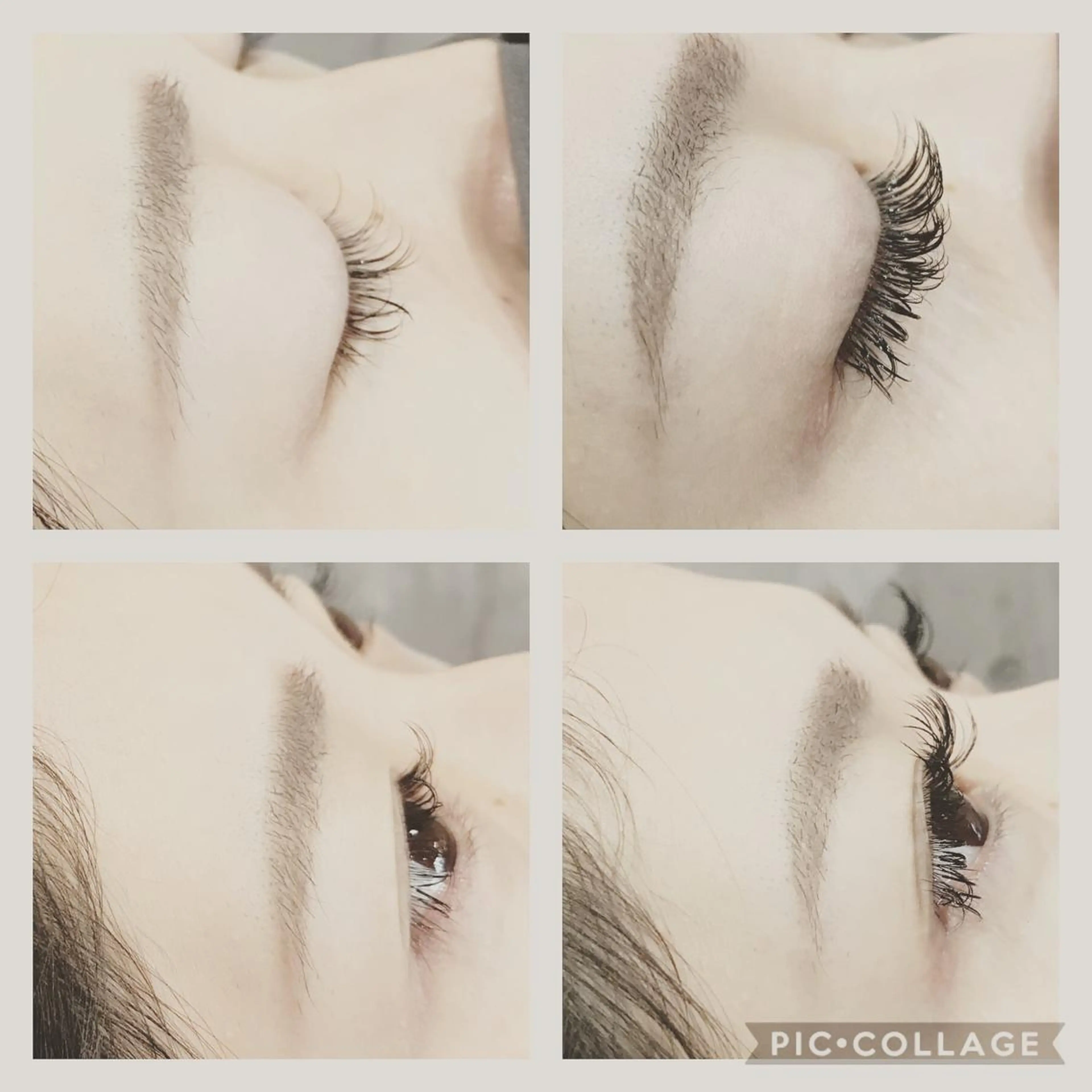 フラットラッシュ100本の写真