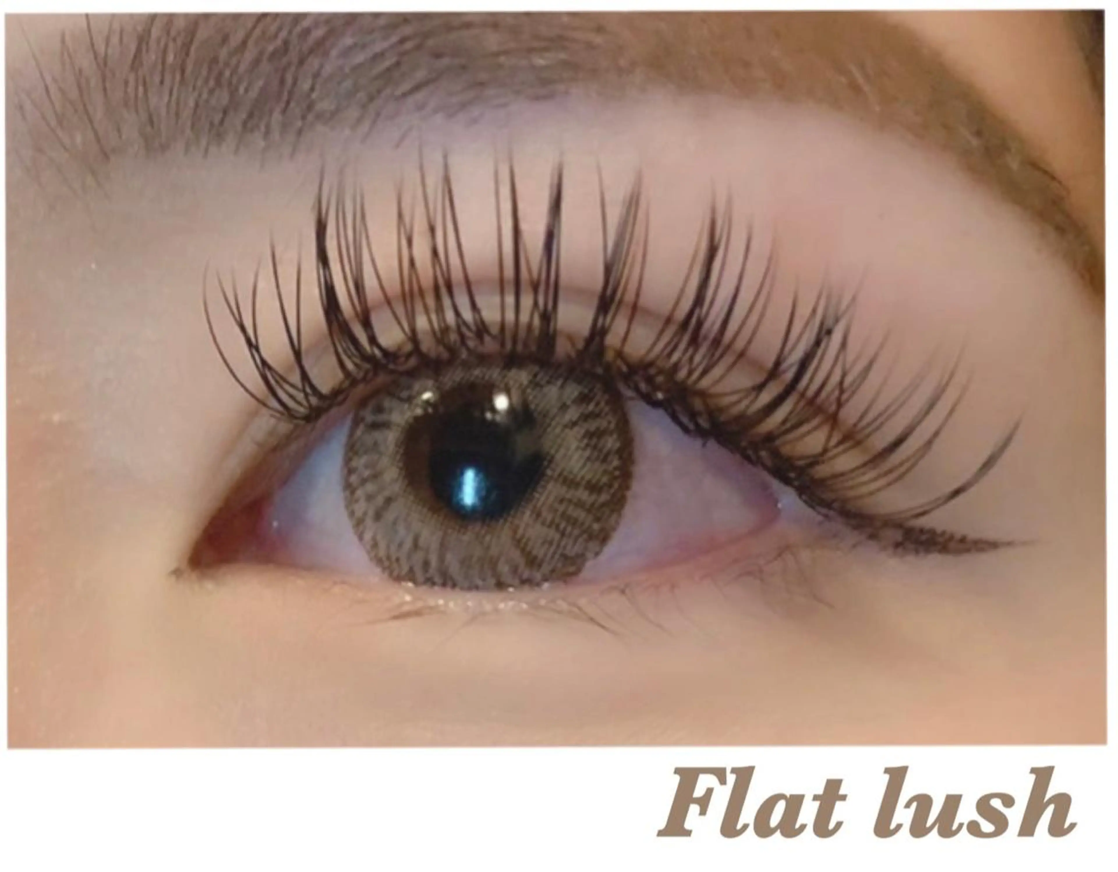 マツエク・マツパ フラットラッシュ マツエク Celeste Venus所属・🧸Celeste Venusのマツエク・マツパデザイン