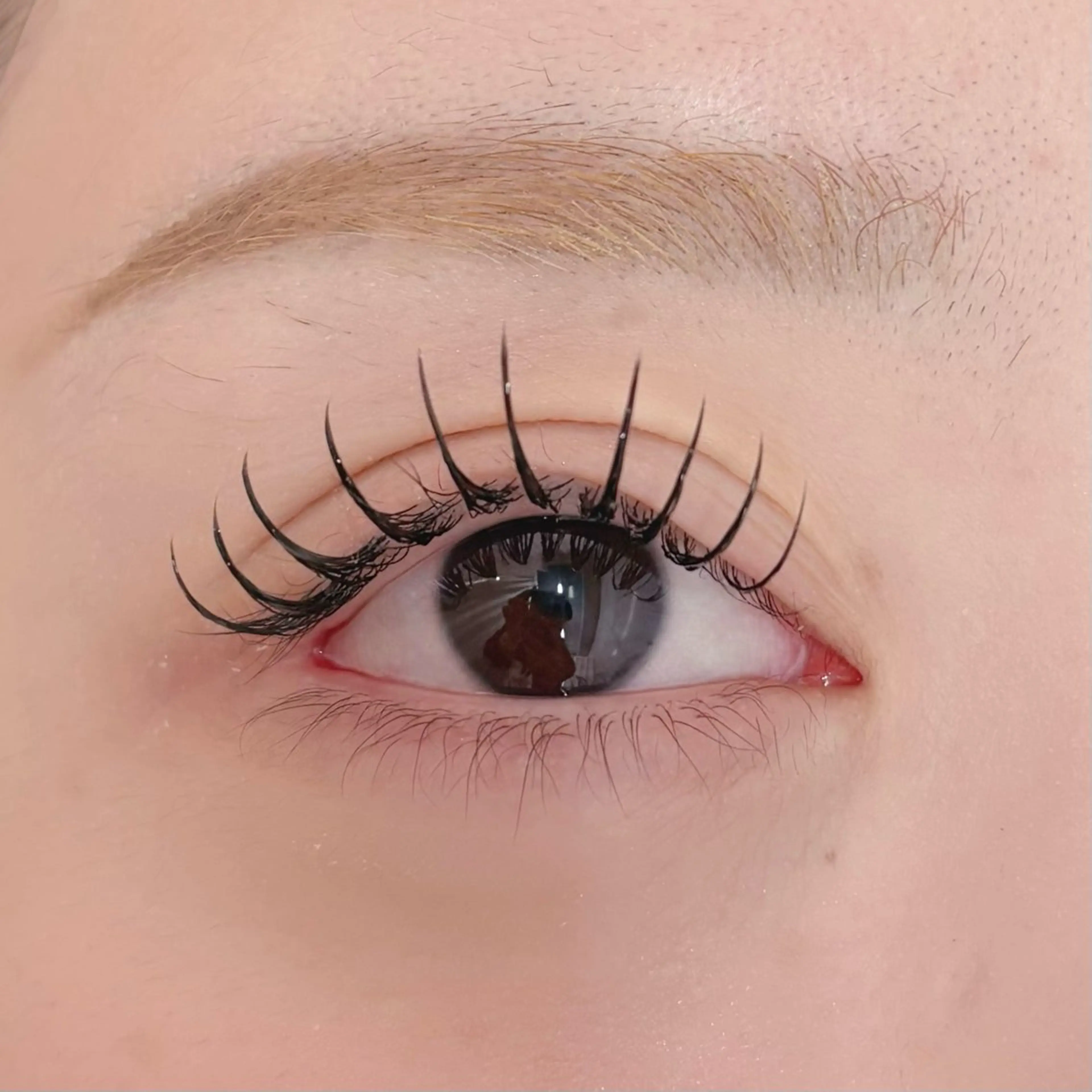 マツエク・マツパ seek北梅田 モデル募集用のマツエク・マツパデザイン