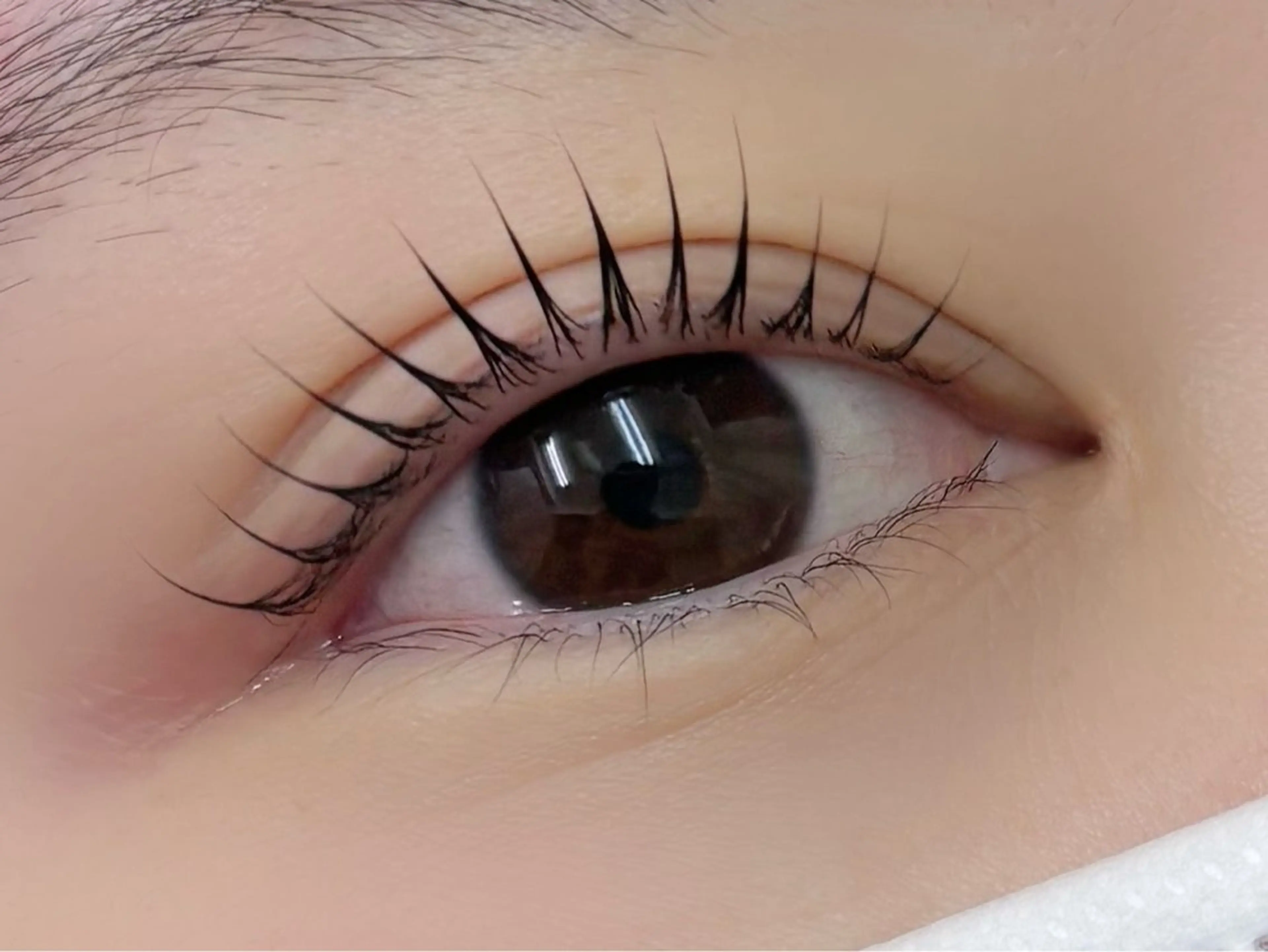 マツエク・マツパ 一重×まつ毛パーマ alice tokyo上村★のマツエク・マツパデザイン