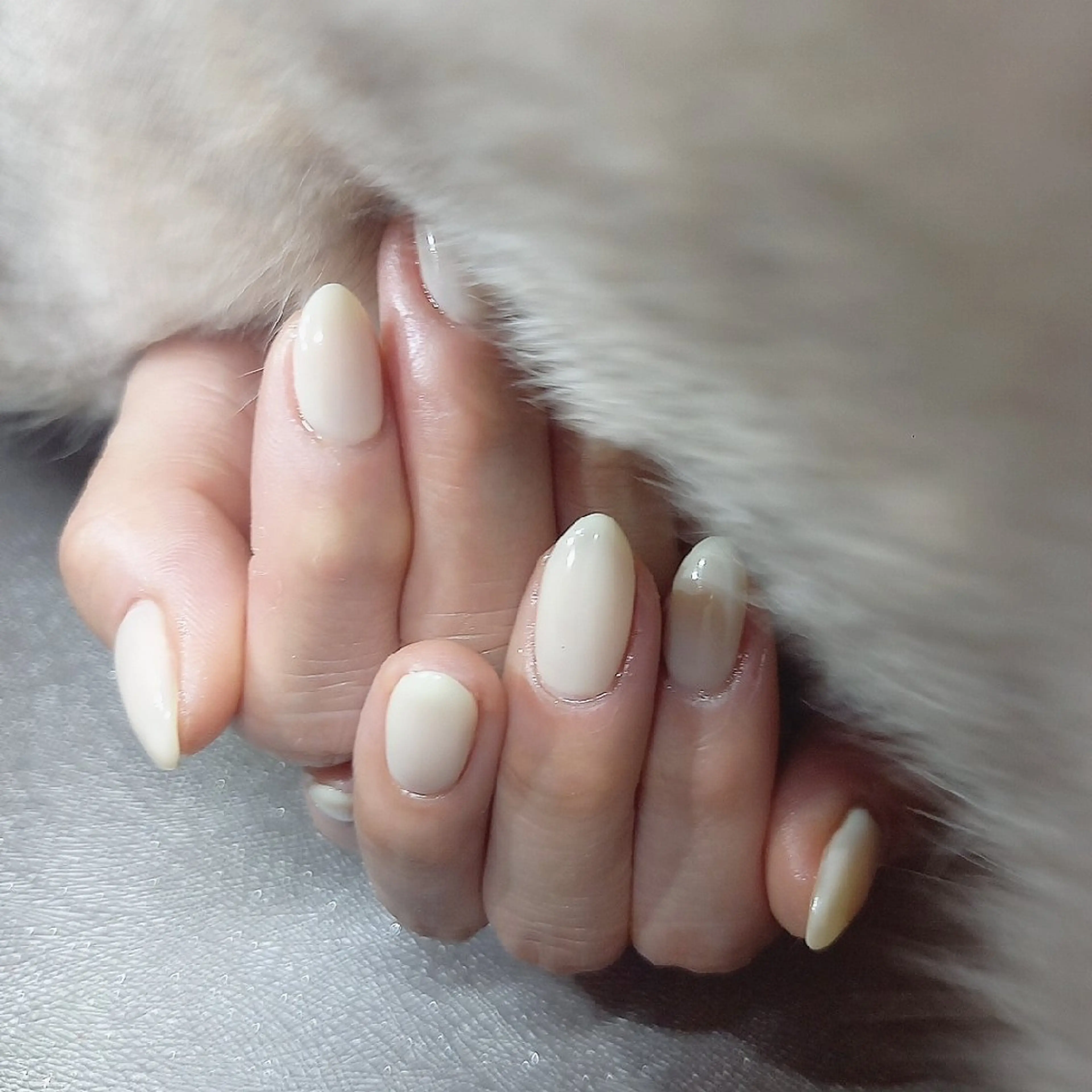 ネイル ワンカラーネイル ホワイト salon de  Princessのネイルデザイン
