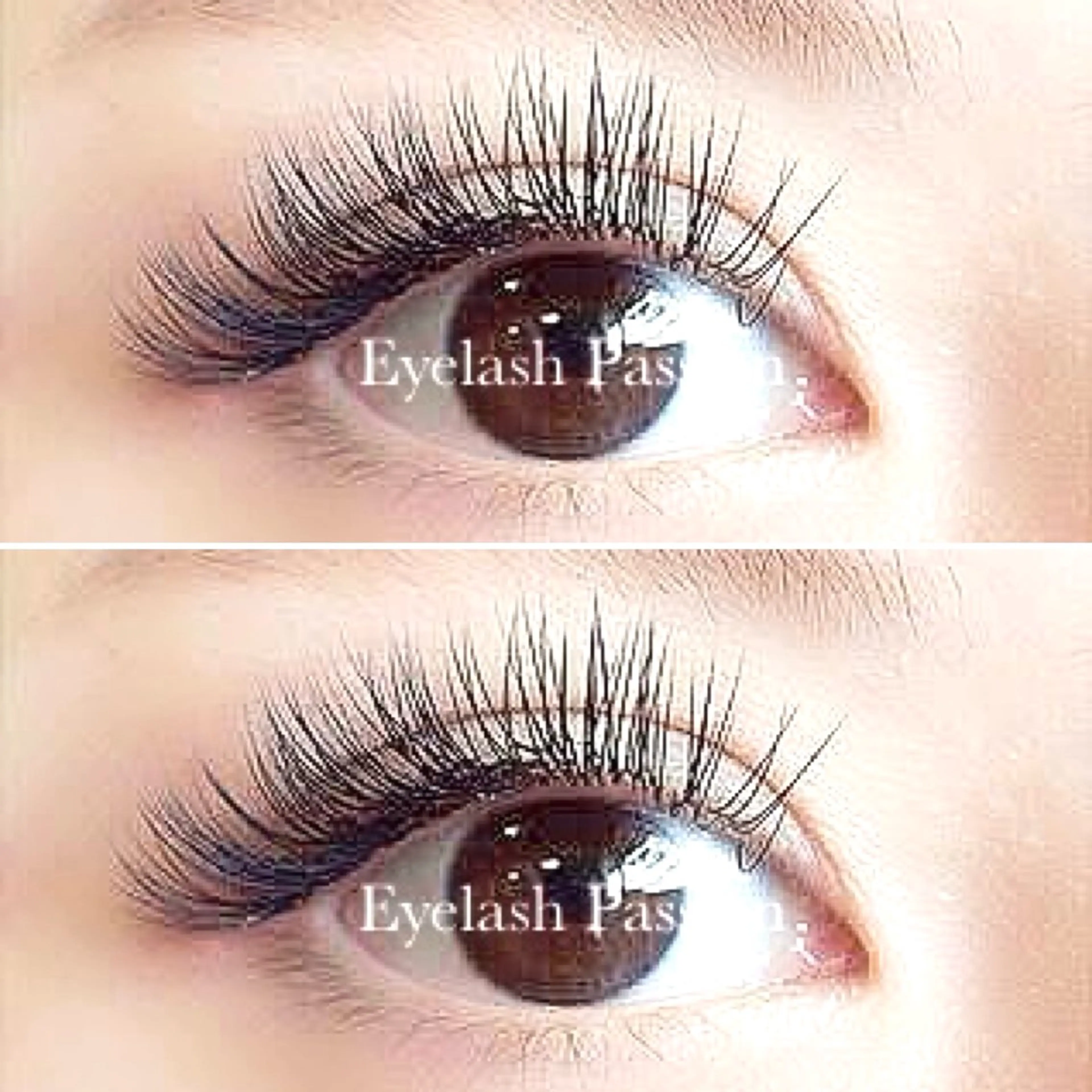 マツエク・マツパ eyelash Passion 木下のマツエク・マツパデザイン